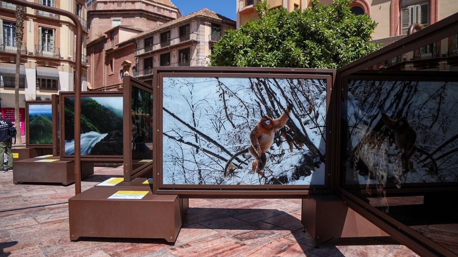 Algunas de las piezas que se pueden ver hasta el 7 de junio.