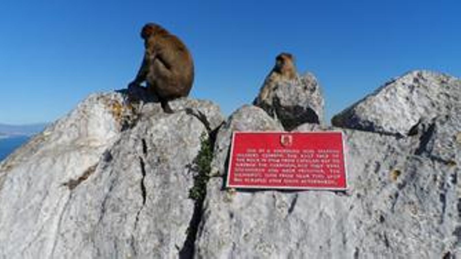 Inscripción que recuerda el hecho en Gibraltar.