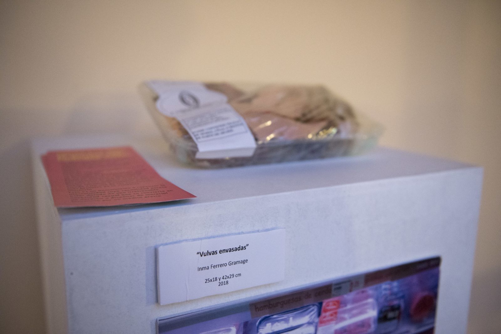 La obra 'Carne de vulva' expuesta en la Casa de San Matías