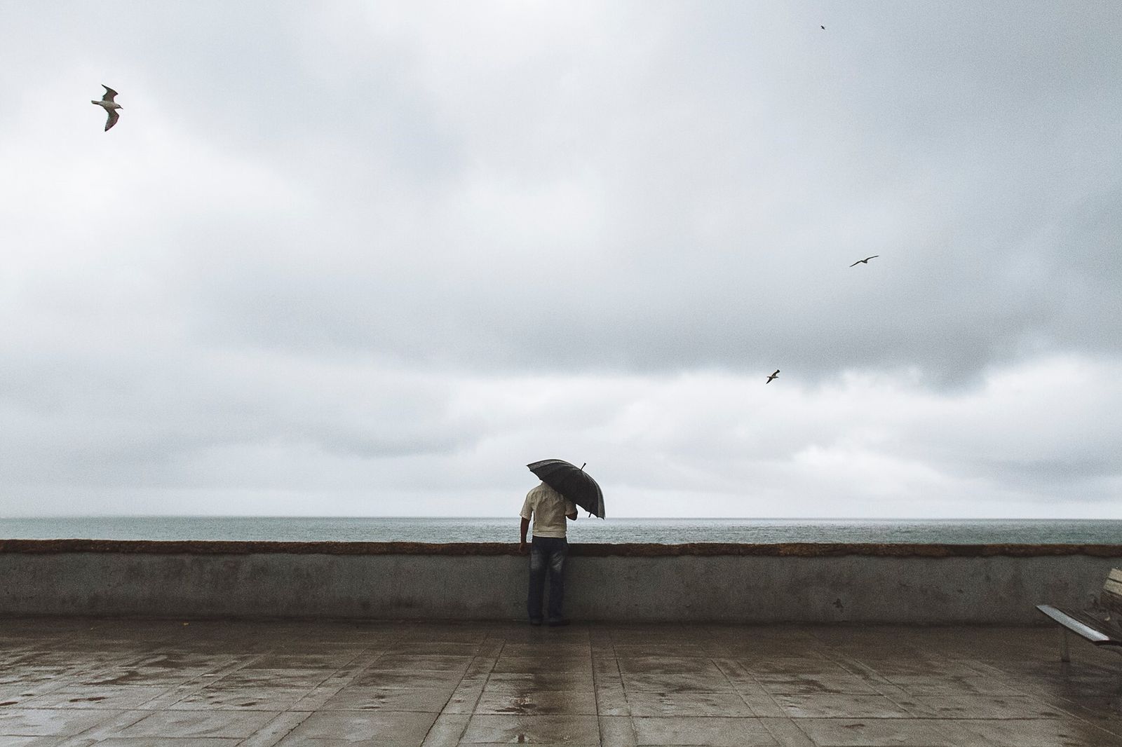 A la inquietud ante los nuevos escenarios climáticos y sociales se une la actualidad de la precariedad.