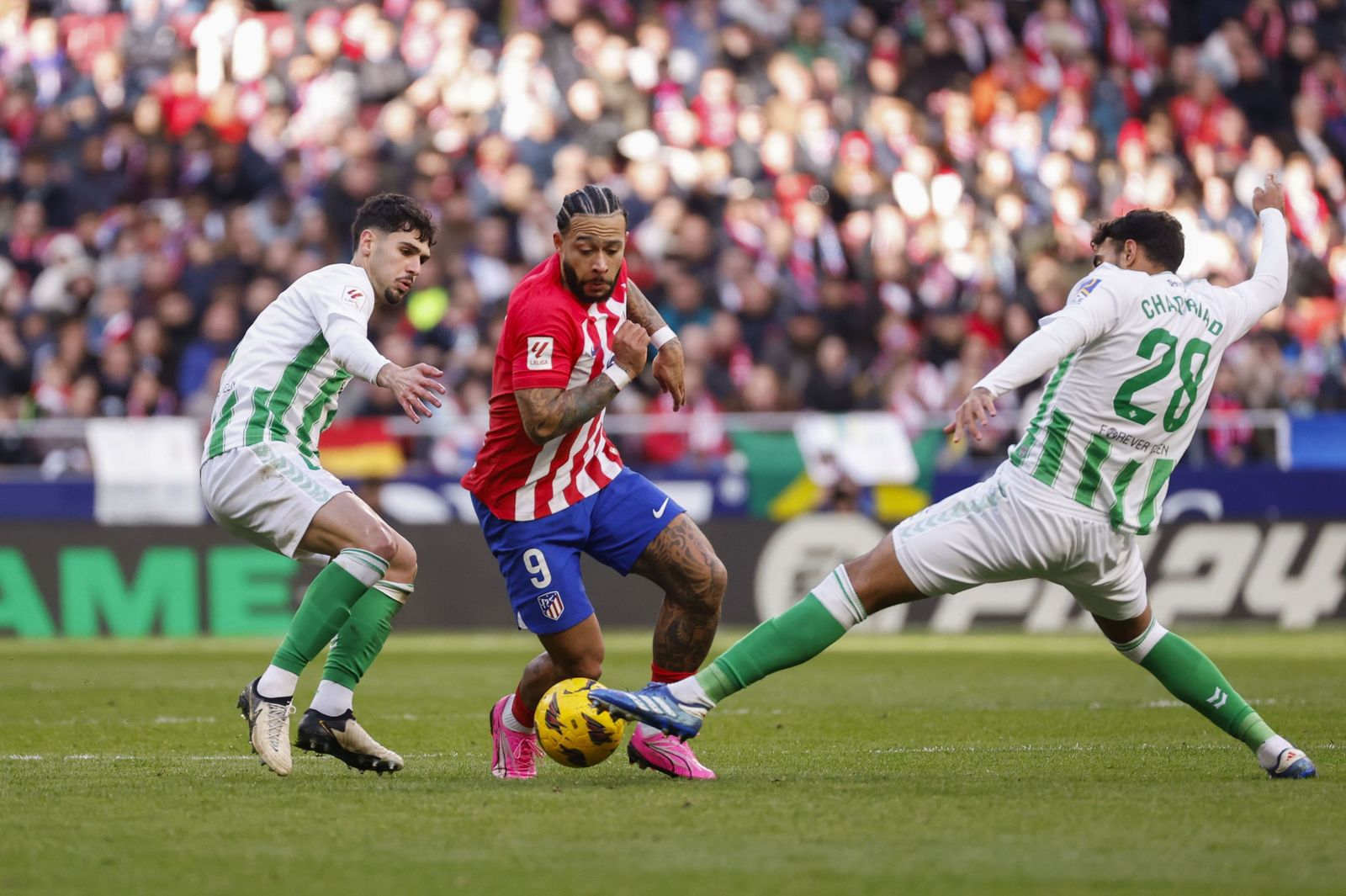 Las fotos del Atlético de Madrid - Betis