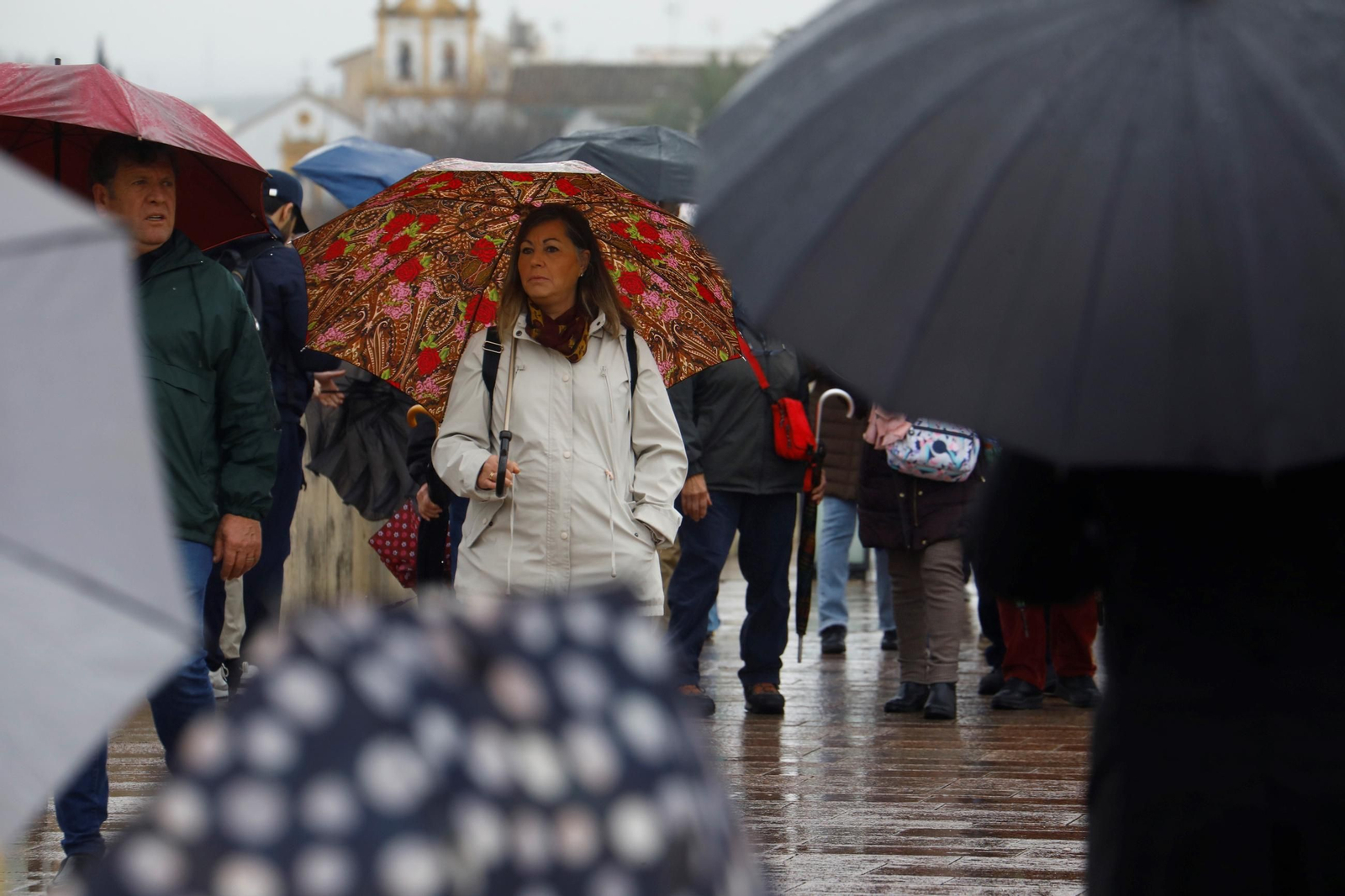 El paso de la borrasca Herminia por Córdoba, en imágenes