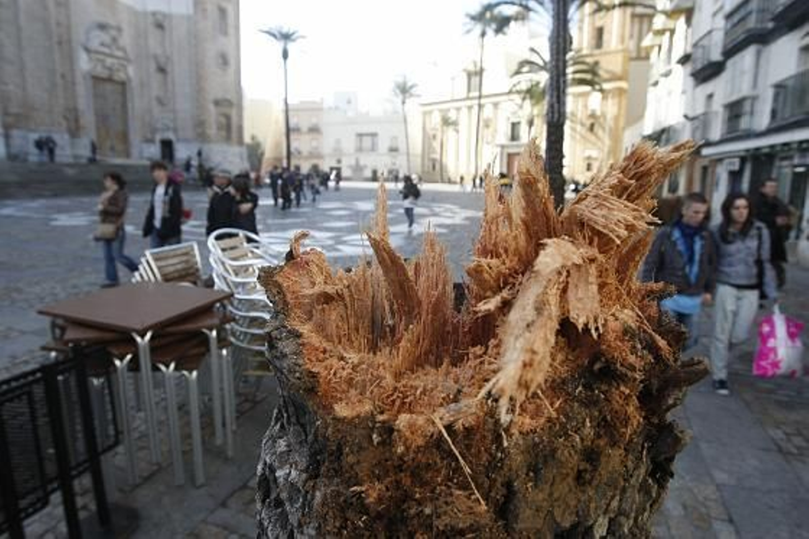 La noche de viento y lluvia se salda con múltiples destrozos en la capital. 

Foto: Jose Braza