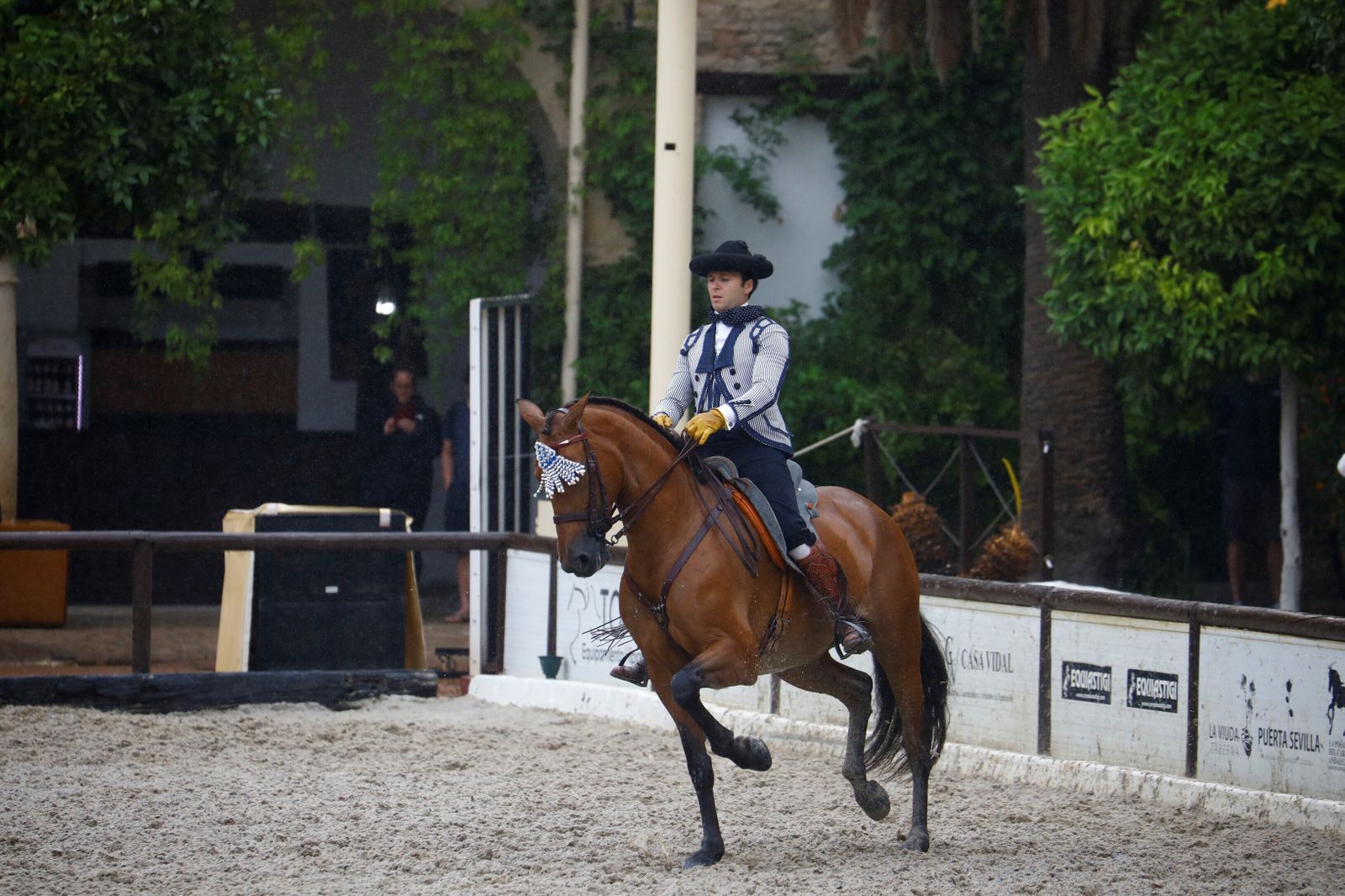 La celebración de la VI Copa de España de Alta Escuela en Córdoba, en imágenes