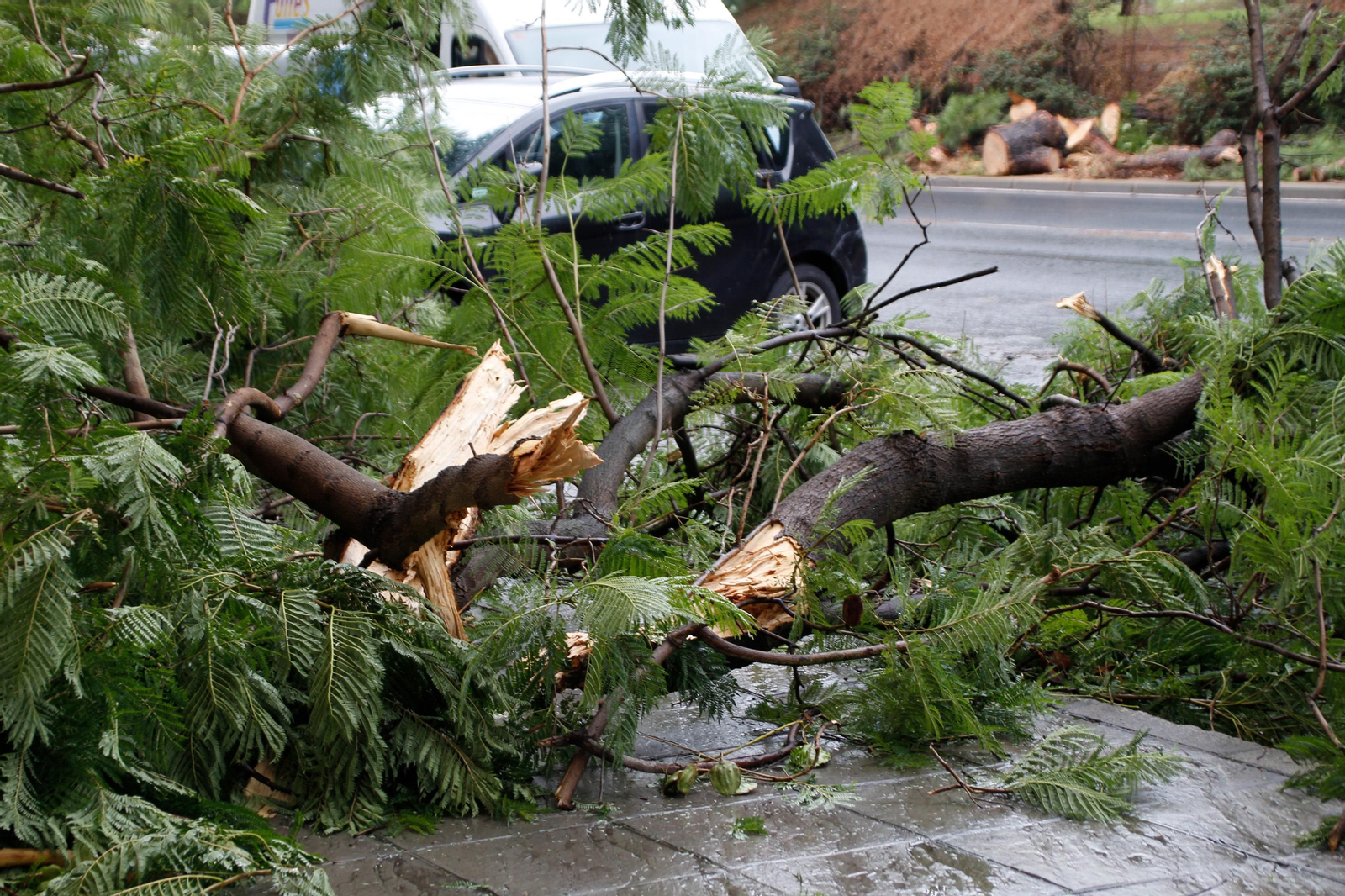 Imágenes de los destrozos en Huelva provocados por el temporal de viento y lluvia