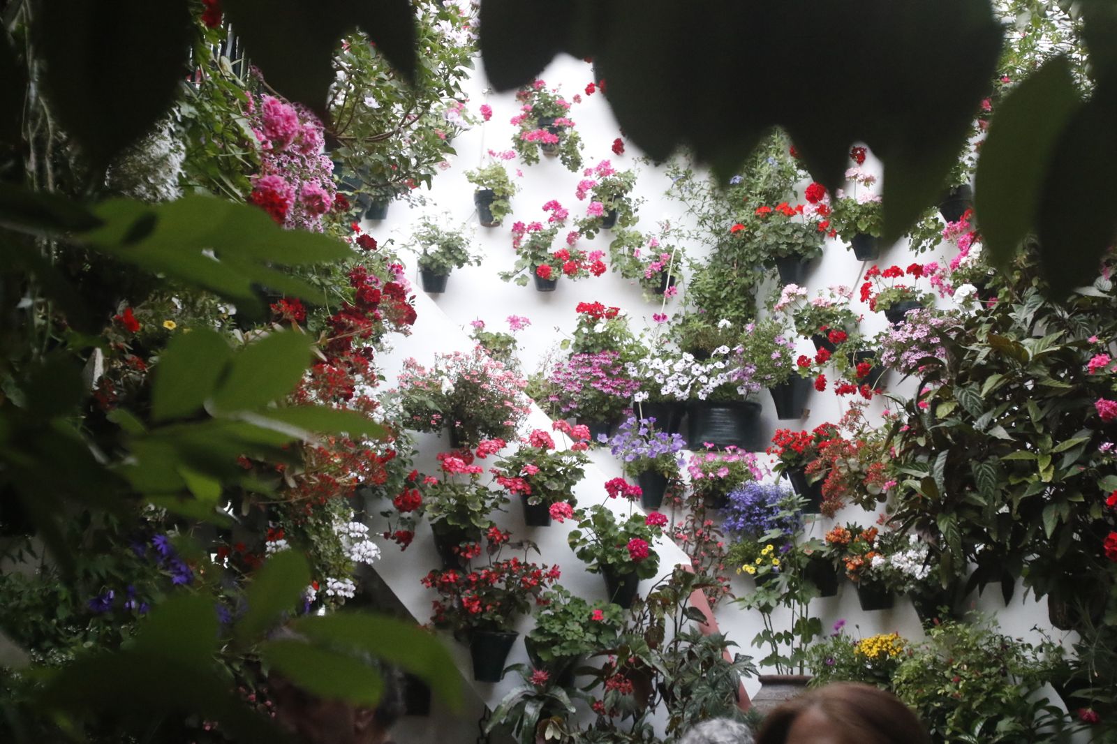 RUTA ALCÁZAR VIEJO: DUARTAS 2