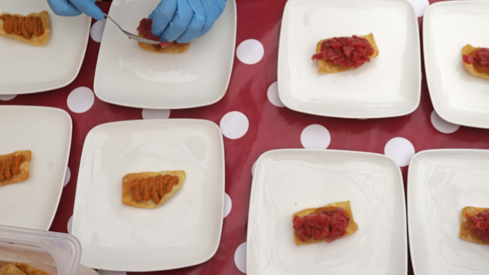 Fotos de la VIII Ruta del Atún Rojo en Tarifa