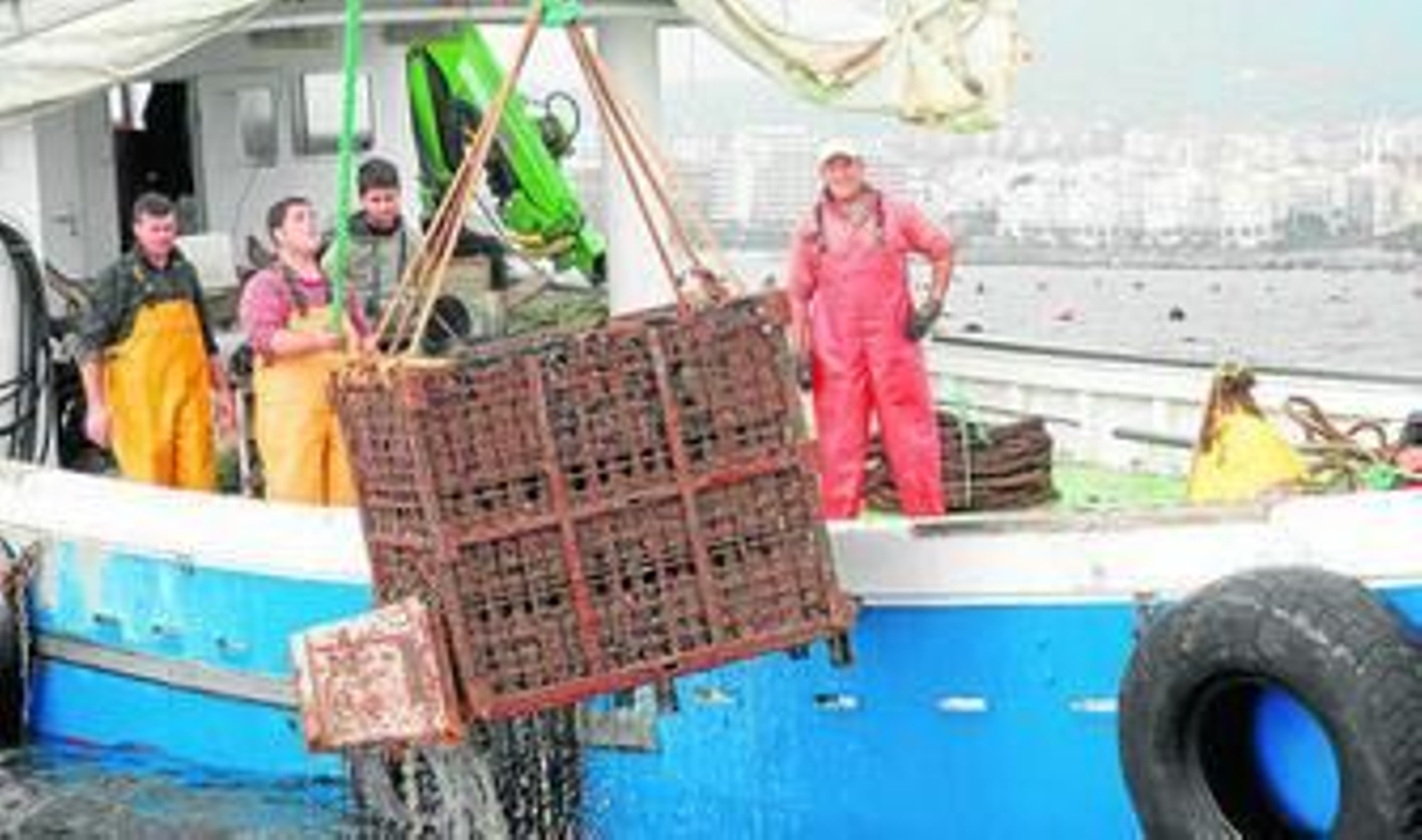 Extracción de los vinos del mar.