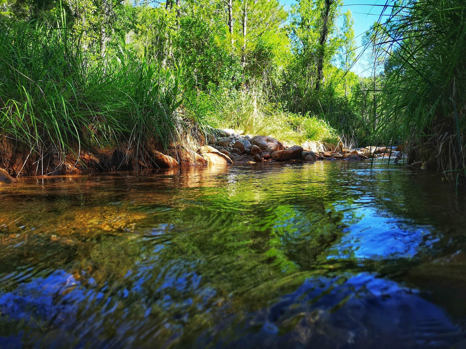 El río Guadalquivir pasa por esta zona del Parque Natural Sierras de Cazorla, Segura y Las Villas.