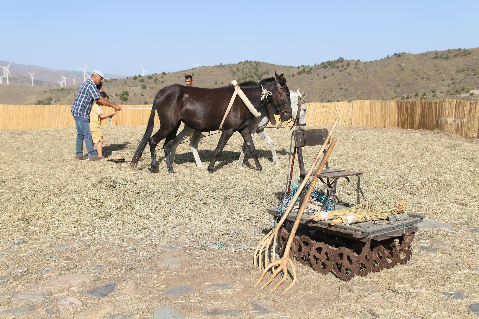 La fiesta de la trilla de Abla