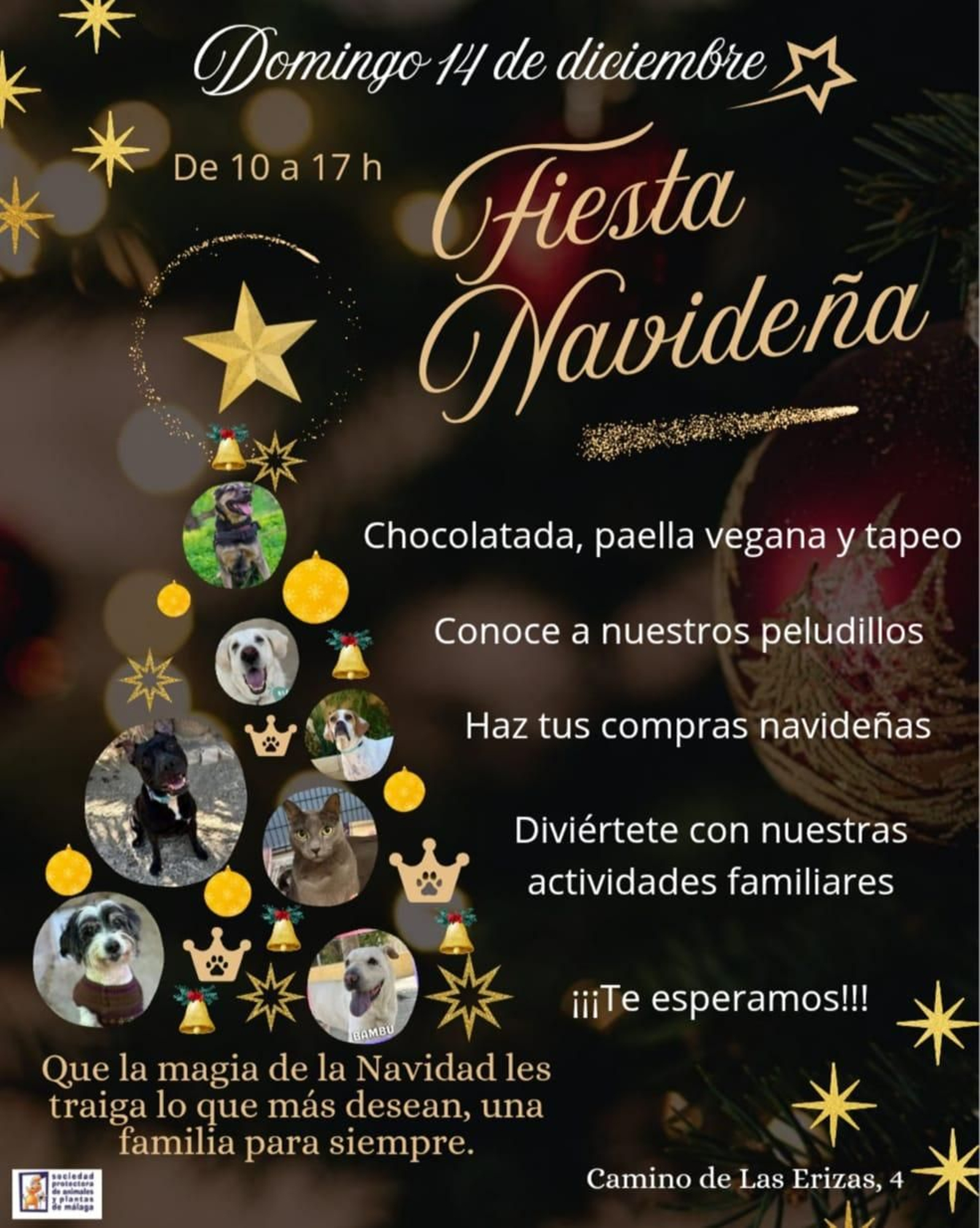 Cartel de la Fiesta Navideña de la protectora de Málaga.