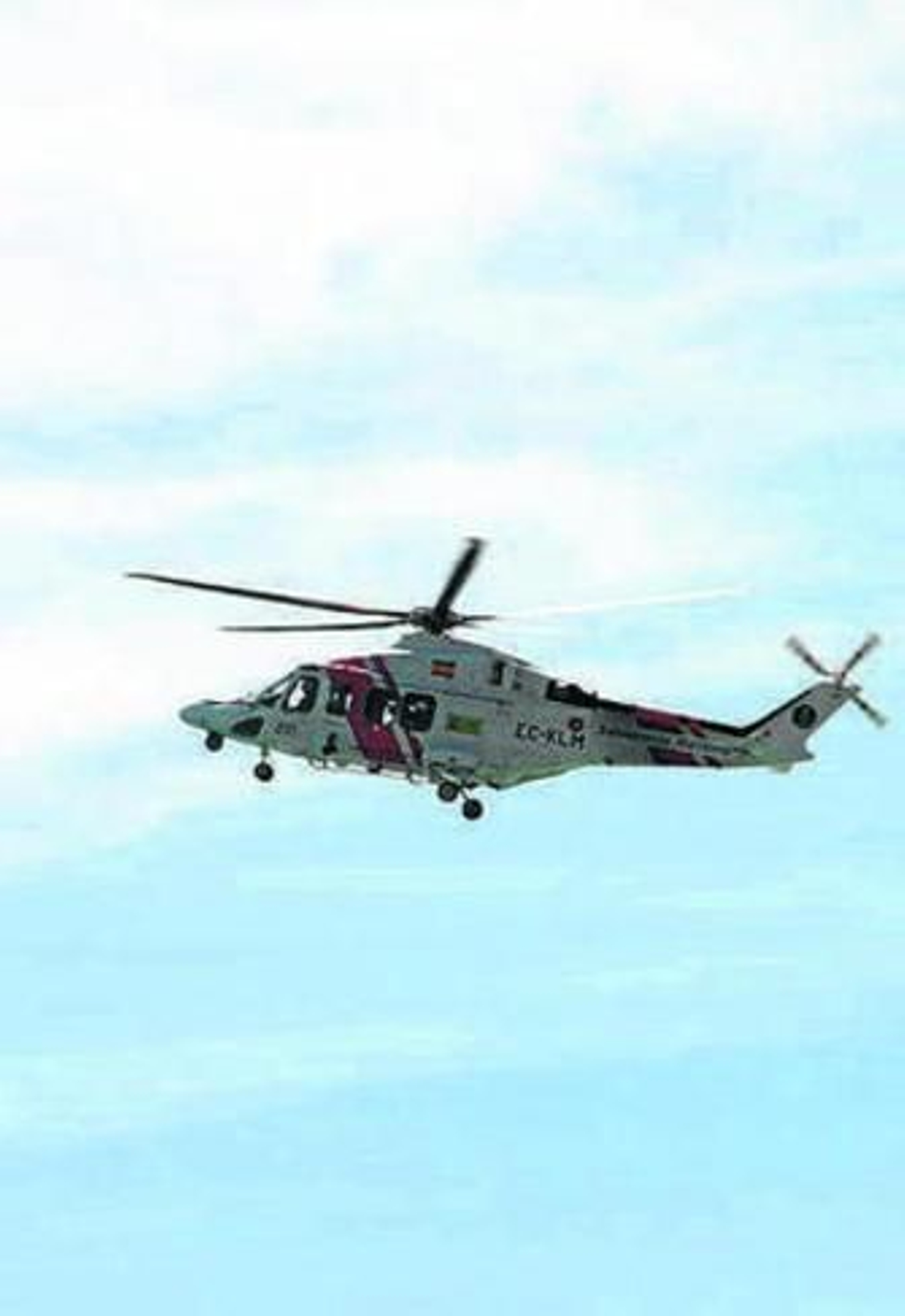 Imagen de la búsqueda.