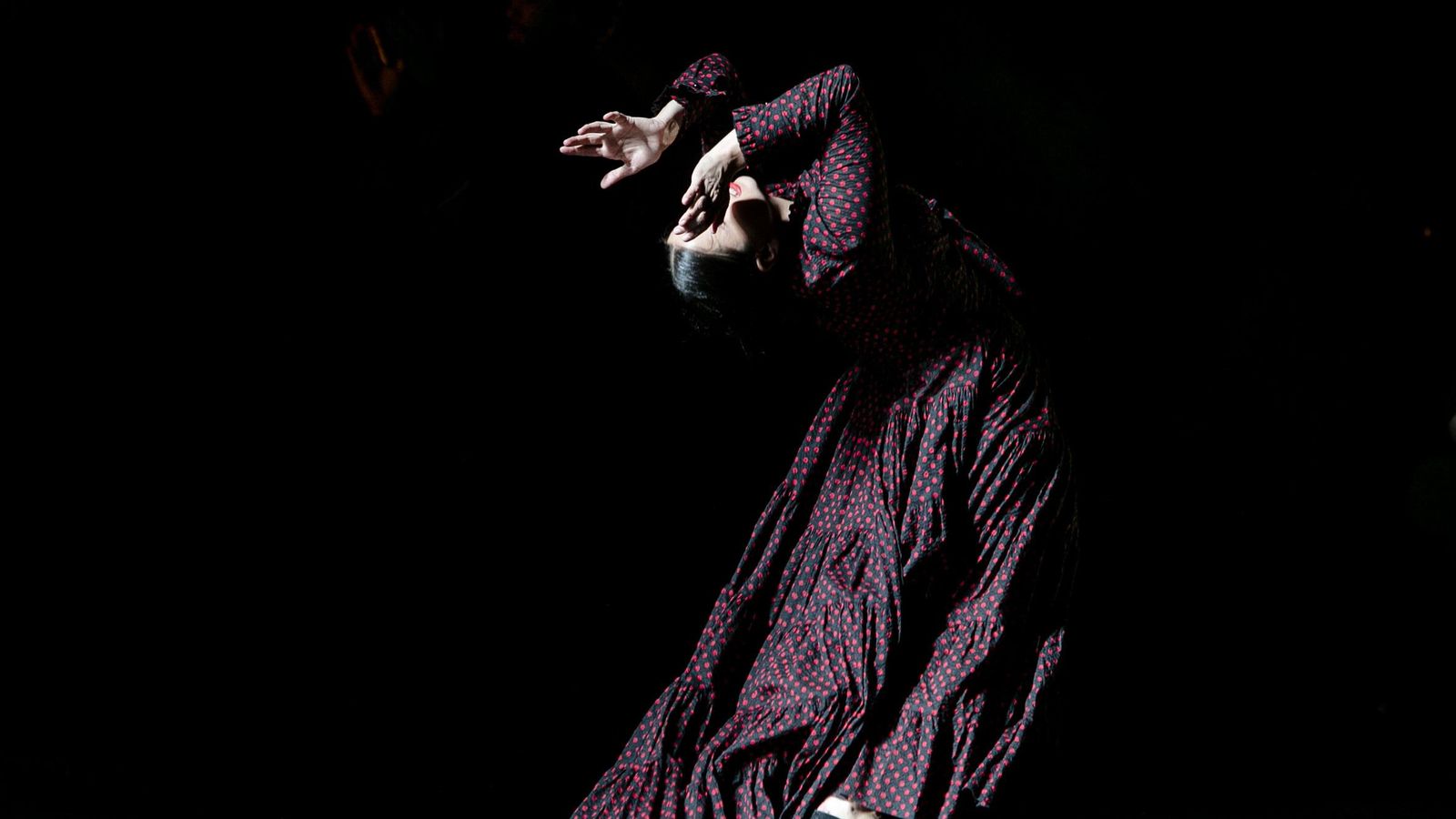 La bailaora gaditana María Moreno, en un momento de su actuación en el Falla.