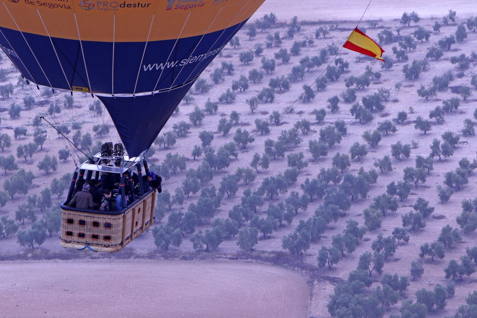 Reportaje sobre el aceite de oliva