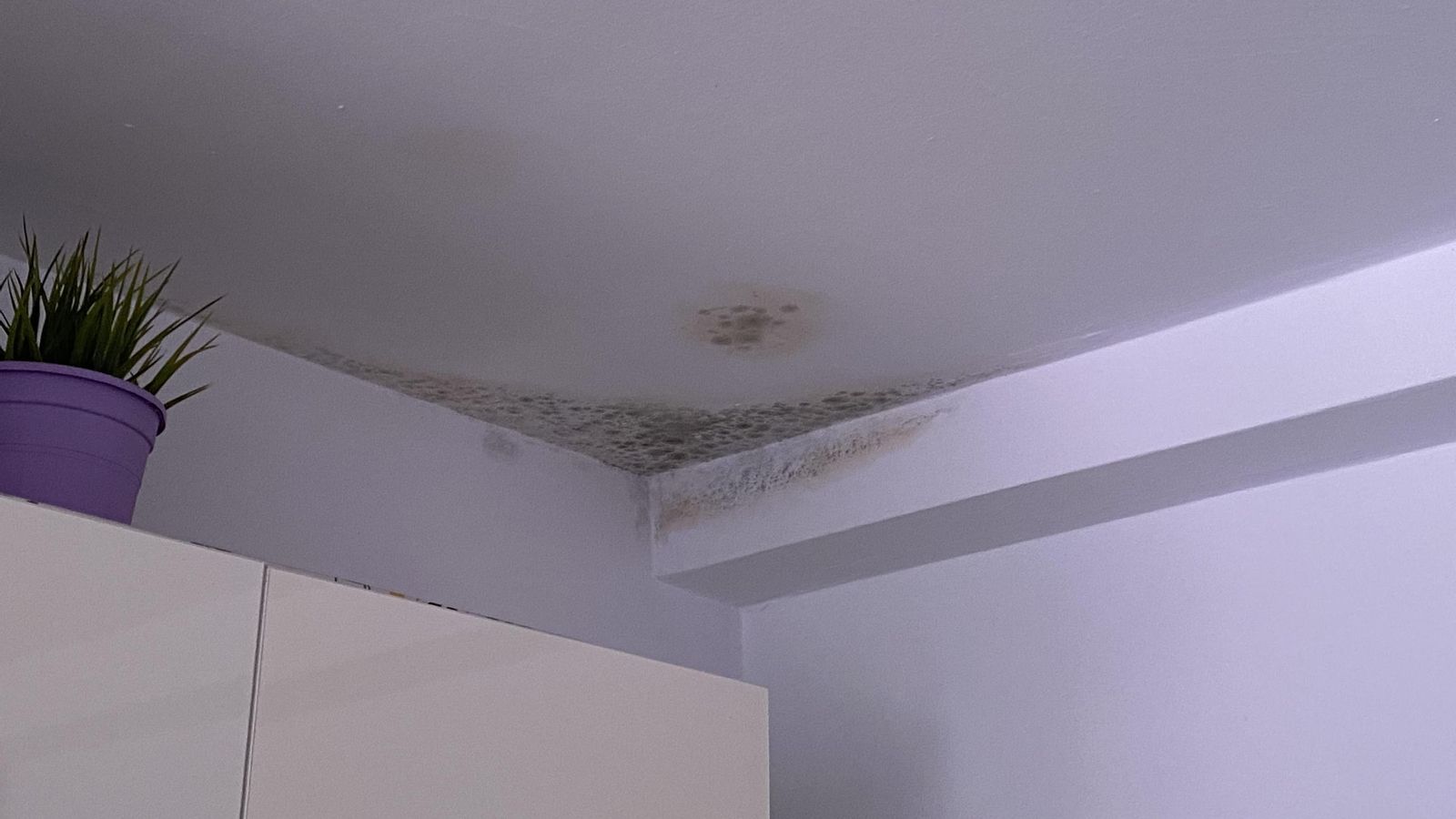 Techo de la cocina de Maika