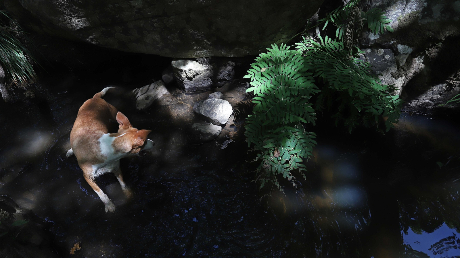Las mejores fotos de la Montera del Torero y Valdeinfierno