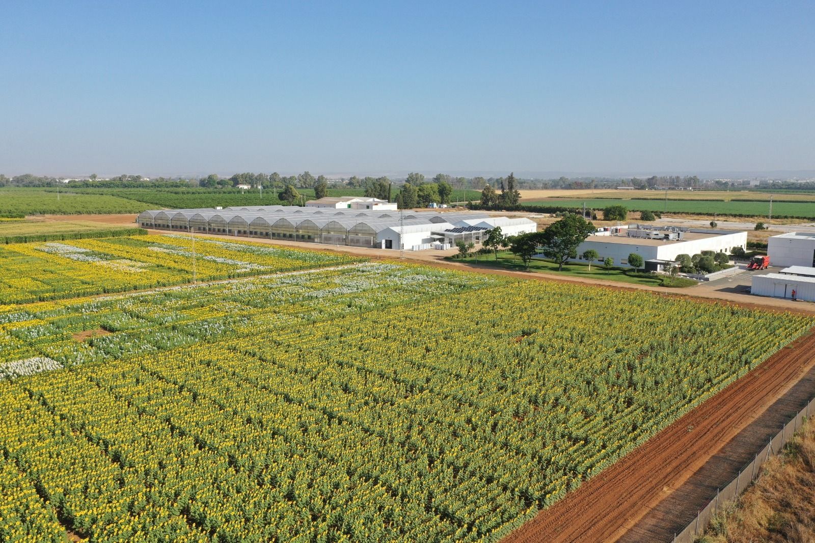 Centro Tecnológico de Corteva  en La Rinconada.