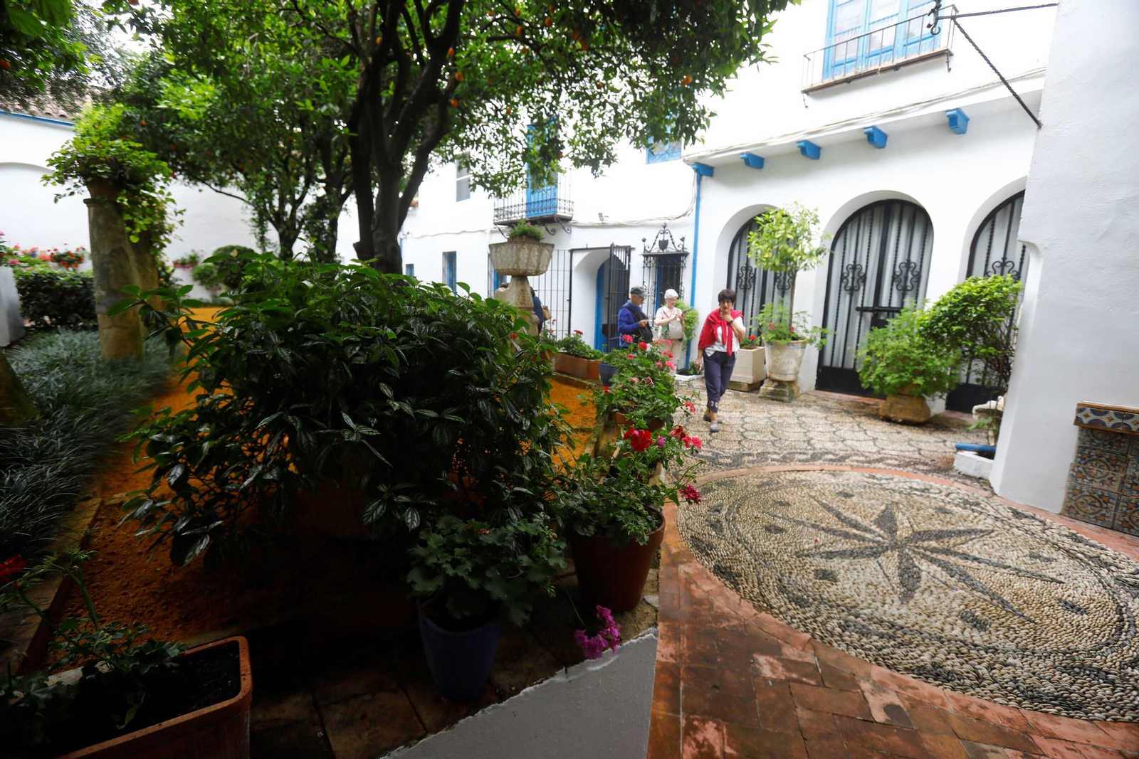 Los patios de Córdoba de la ruta Judería-San Francisco, en imágenes