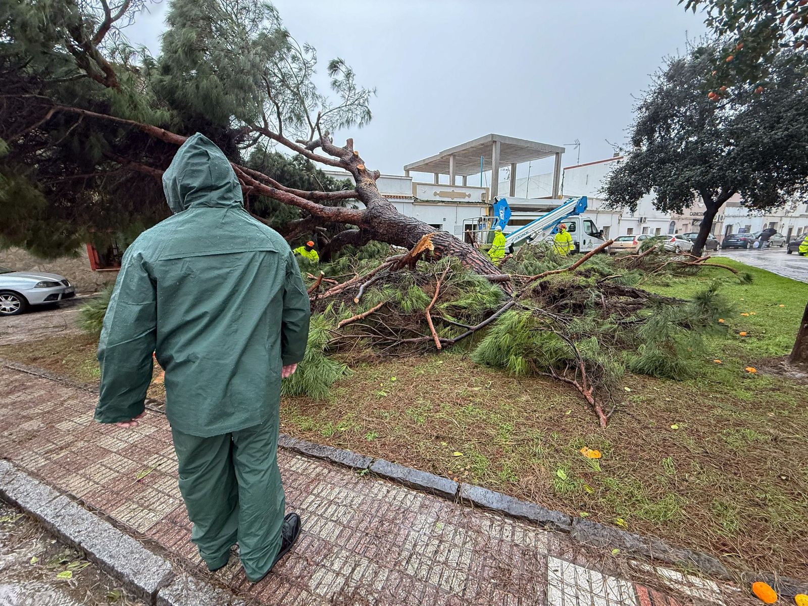 Fotos: Así amaneció el Campo de Gibraltar tras el paso de la borrasca Leonardo