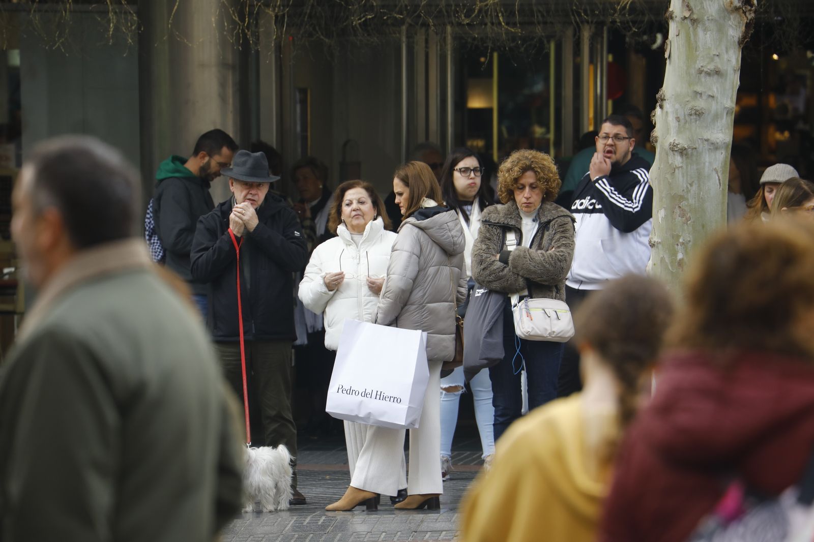 El inicio de las rebajas en Córdoba, en imágenes