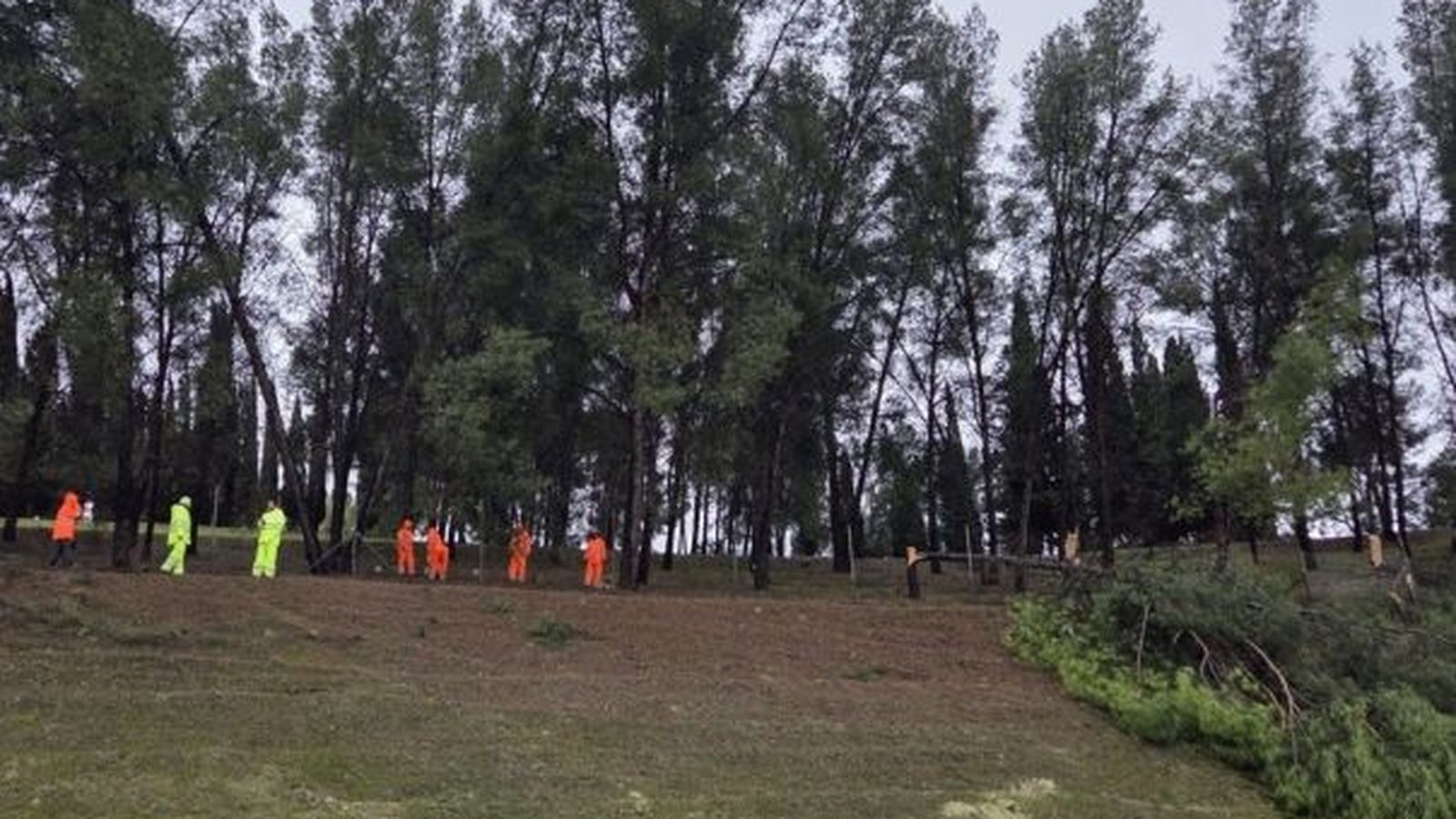 Talud en el Garrotalillo.