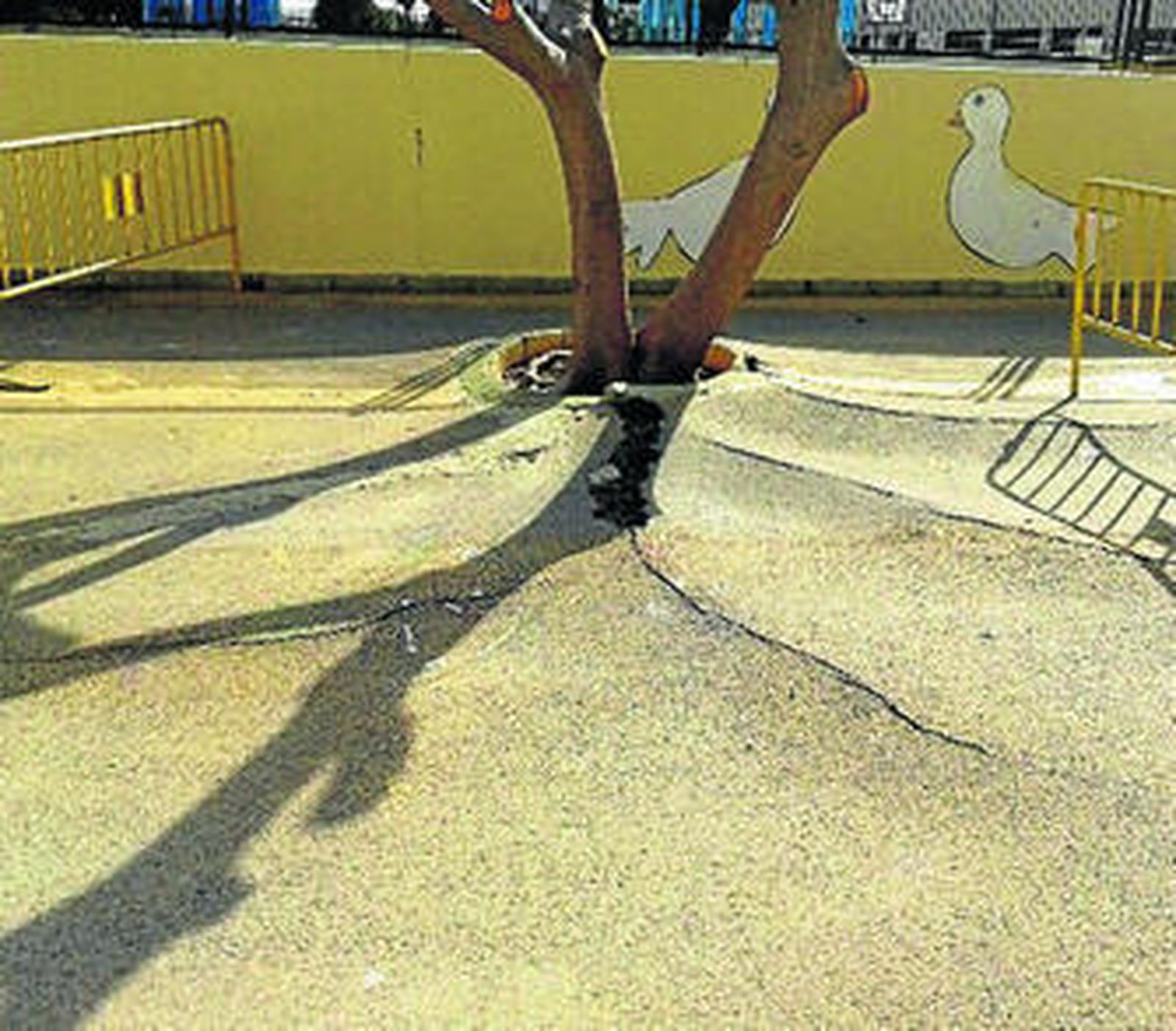 Estado del patio del colegio Tierno Galván. Las raíces de los árboles han levantado el asfalto varios centímetros.