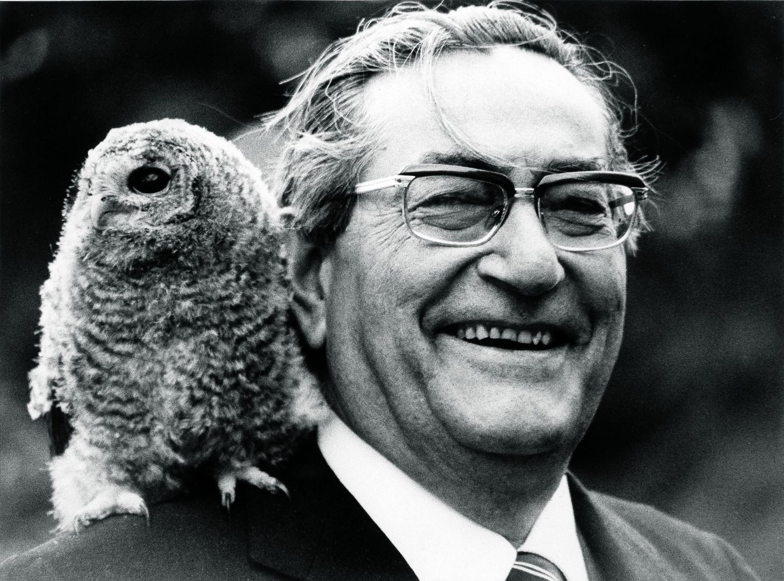 El poeta Luis Rosales, con un pequeño búho, en 1972