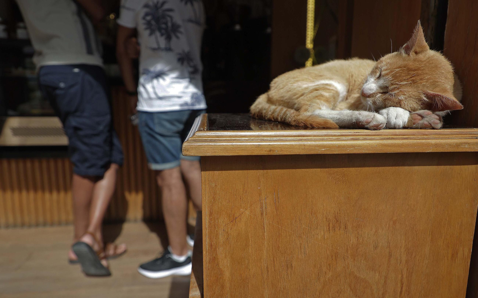Un paseo por la ciudad de Tánger, en imágenes