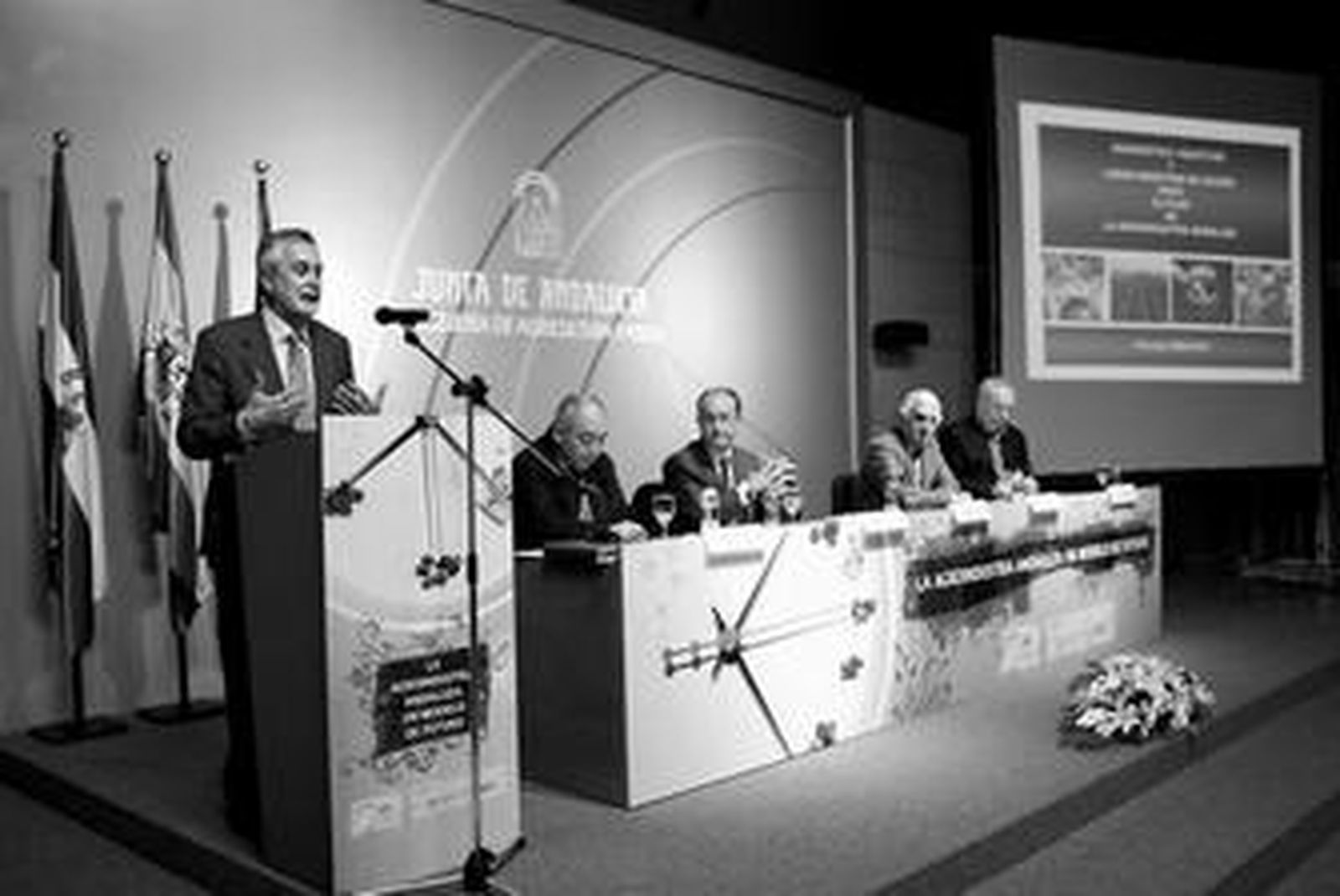 El vicepresidente segundo y consejero de Economía, José Antonio Griñán.