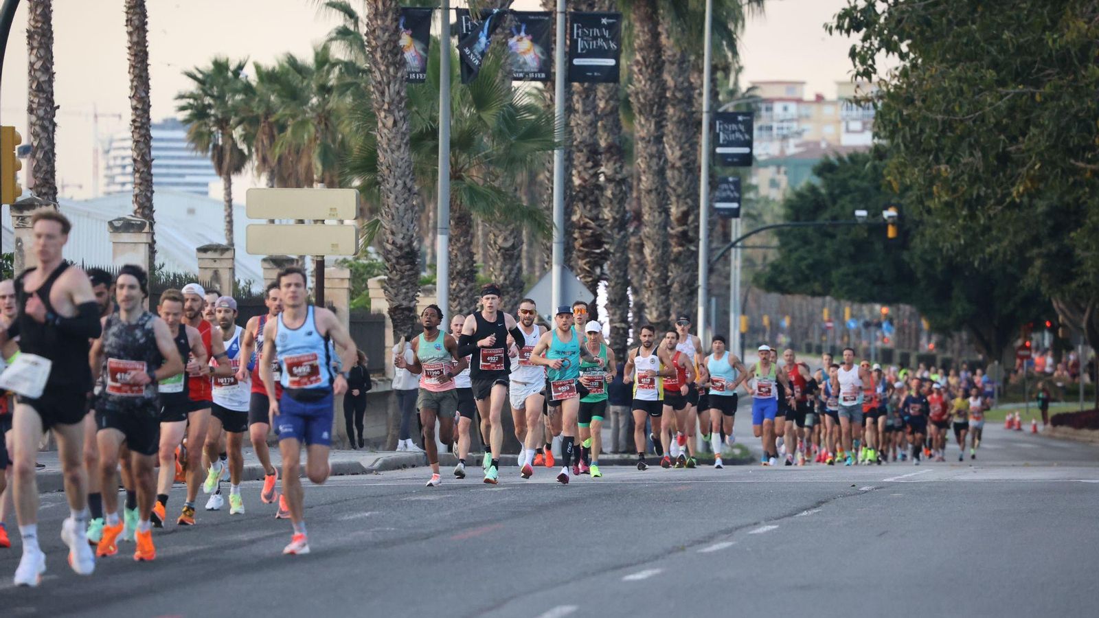 Las mejores fotos de la Maratón de Málaga 2024