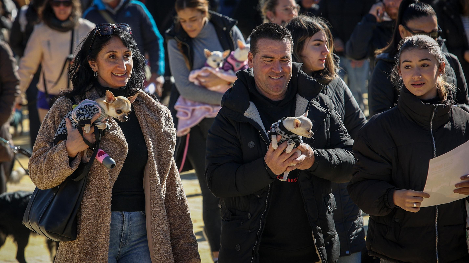 Búscate en San Antón de Jerez