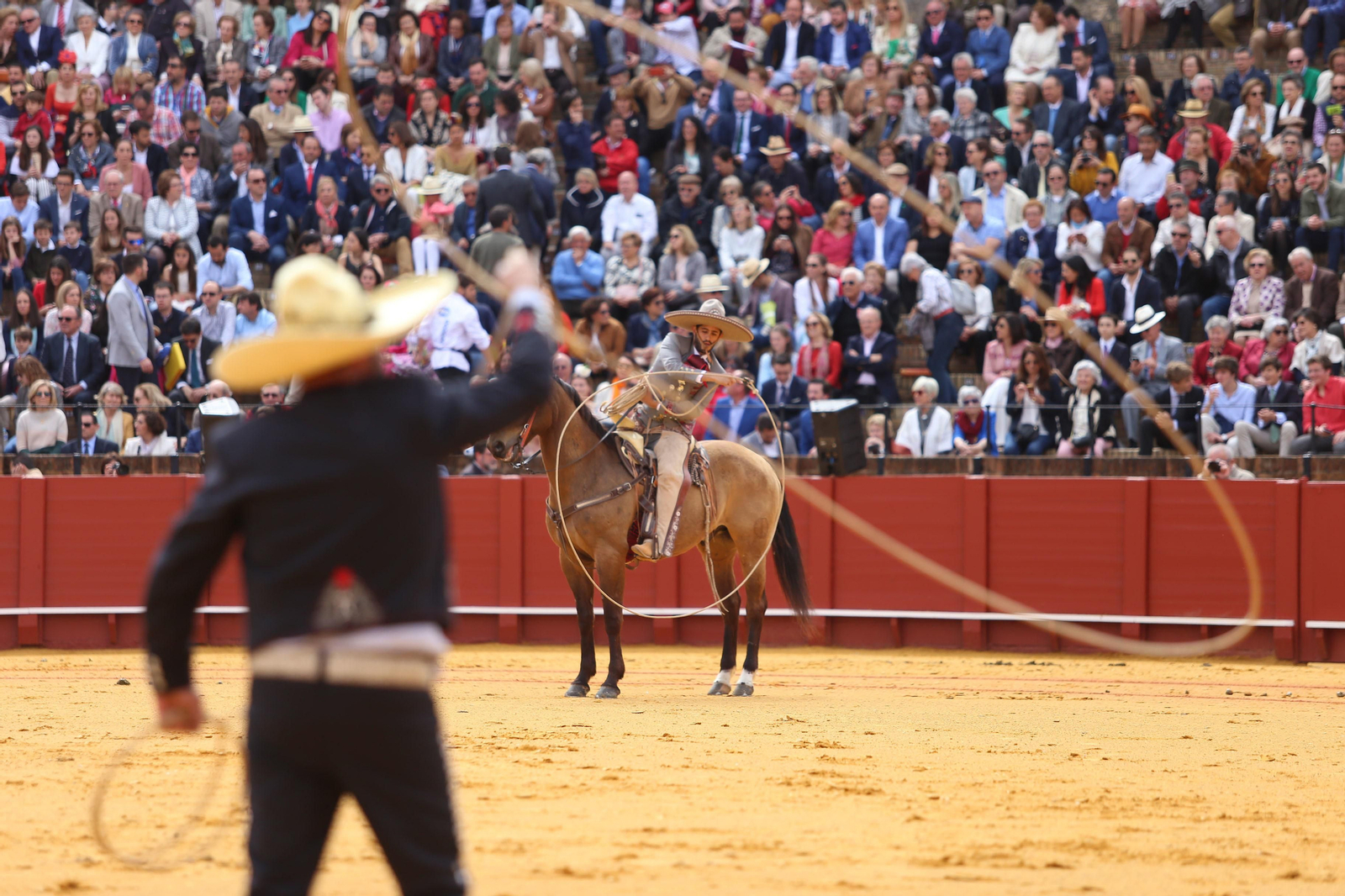 XXXIII Exhibición del Real Club de Enganches de Andalucía en la Maestranza