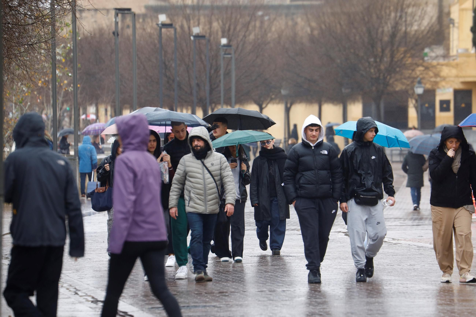 El paso de la borrasca Herminia por Córdoba, en imágenes