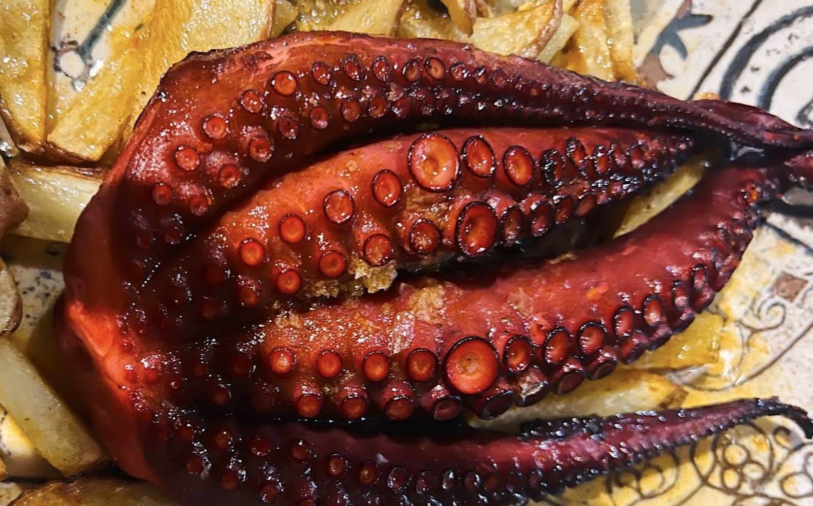 El pulpo "gallego" que en realidad es de Huelva y conquista Salamanca