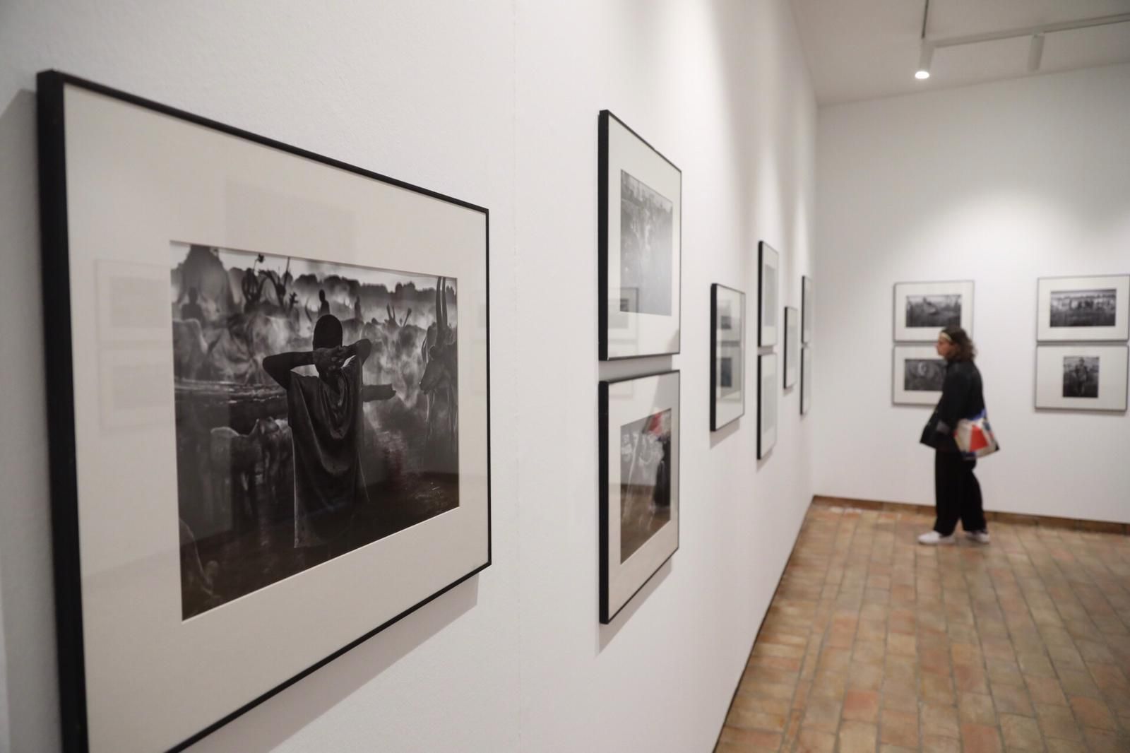 La inauguración de la Bienal de Fotografía de Córdoba, en imágenes