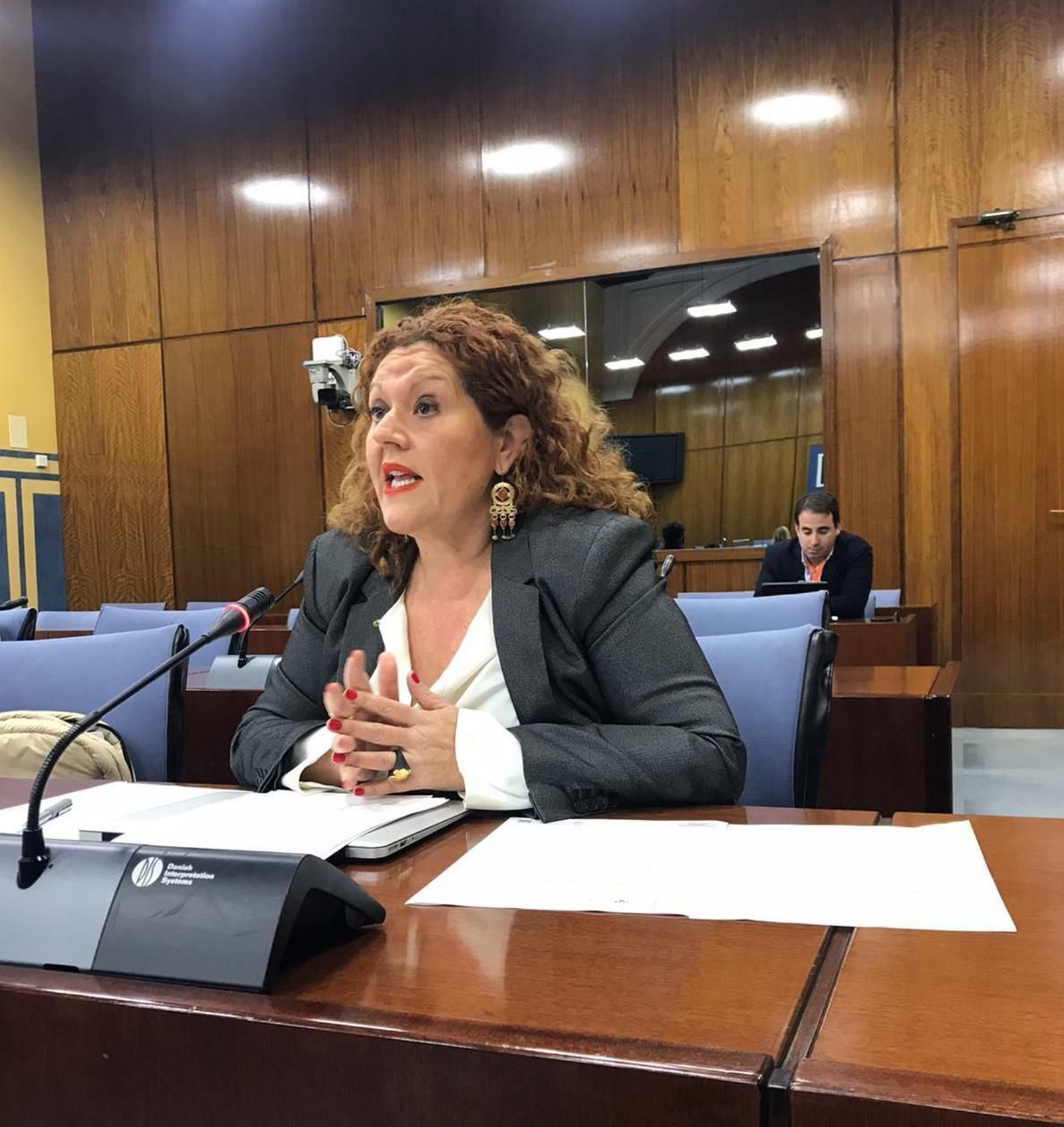 La parlamentaria andaluza Araceli Maese, durante la Comisión de Cultura del Parlamento La parlamentaria andaluza Araceli Maese, durante la Comisión de Cultura del Parlamento