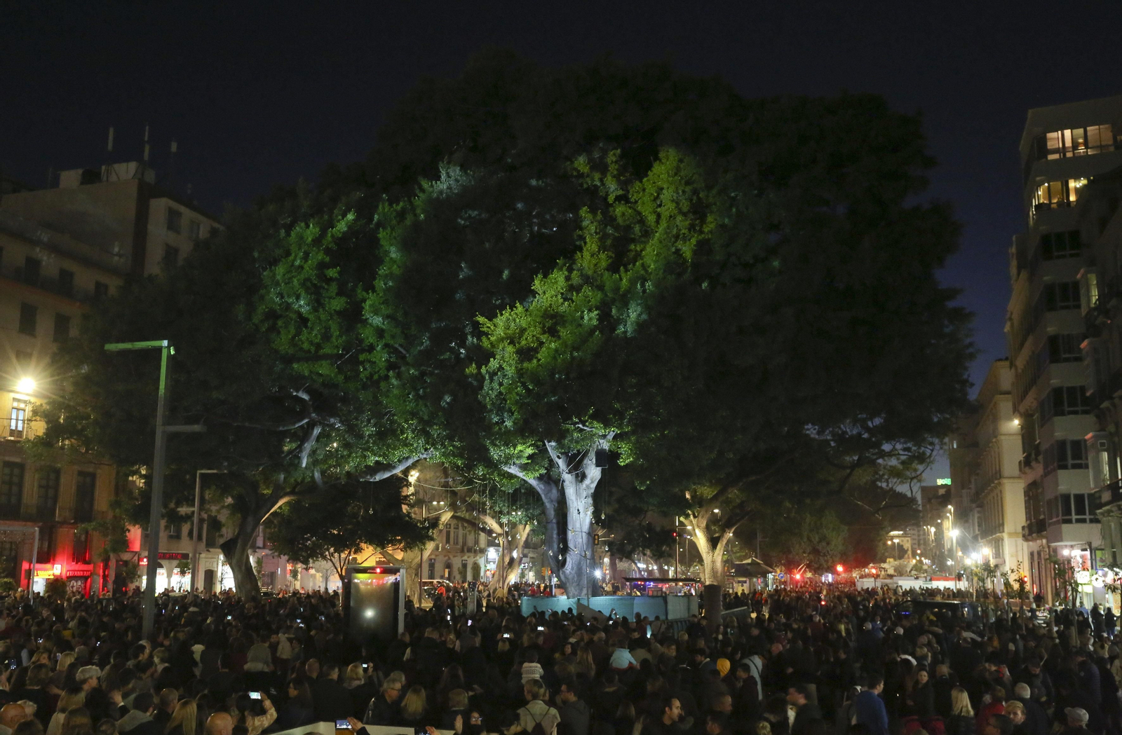Las fotos de las luces de Navidad en Málaga Las fotos de las luces de Navidad en Málaga