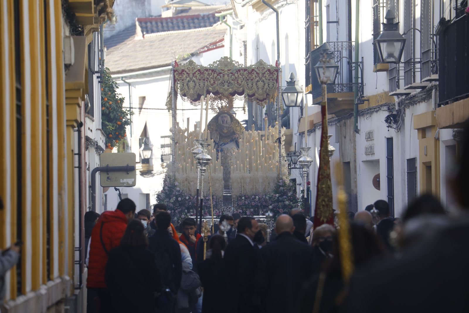 La procesión extraordinaria de la Virgen de la Salud de Córdoba, en imágenes