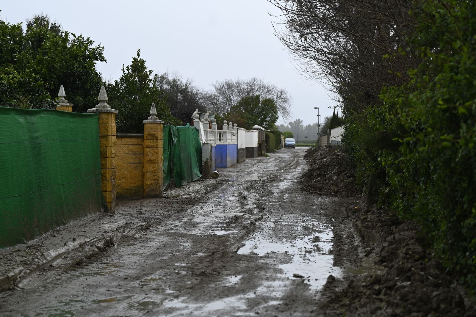 Parcelas de Guadalvalle siguen anegadas por el barro un mes después de las inundaciones