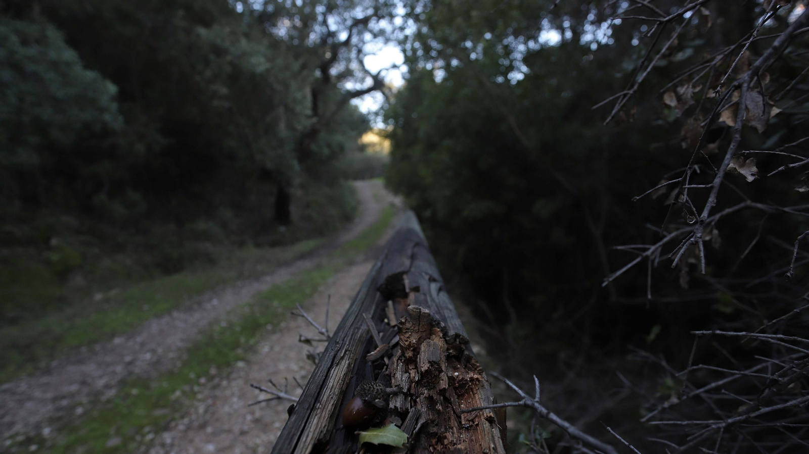 Las mejores fotos del Poblado del Corchado en San Pablo de Buceite