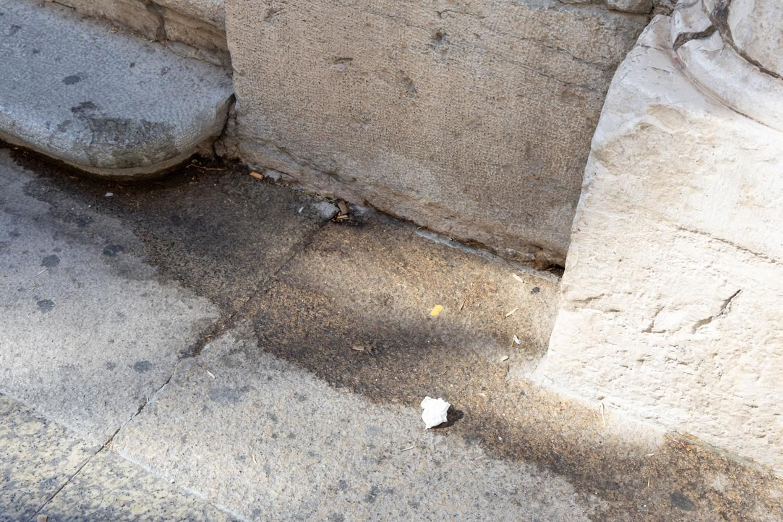 Suciedad y hierbajos toman el entorno de la Catedral de Jaén