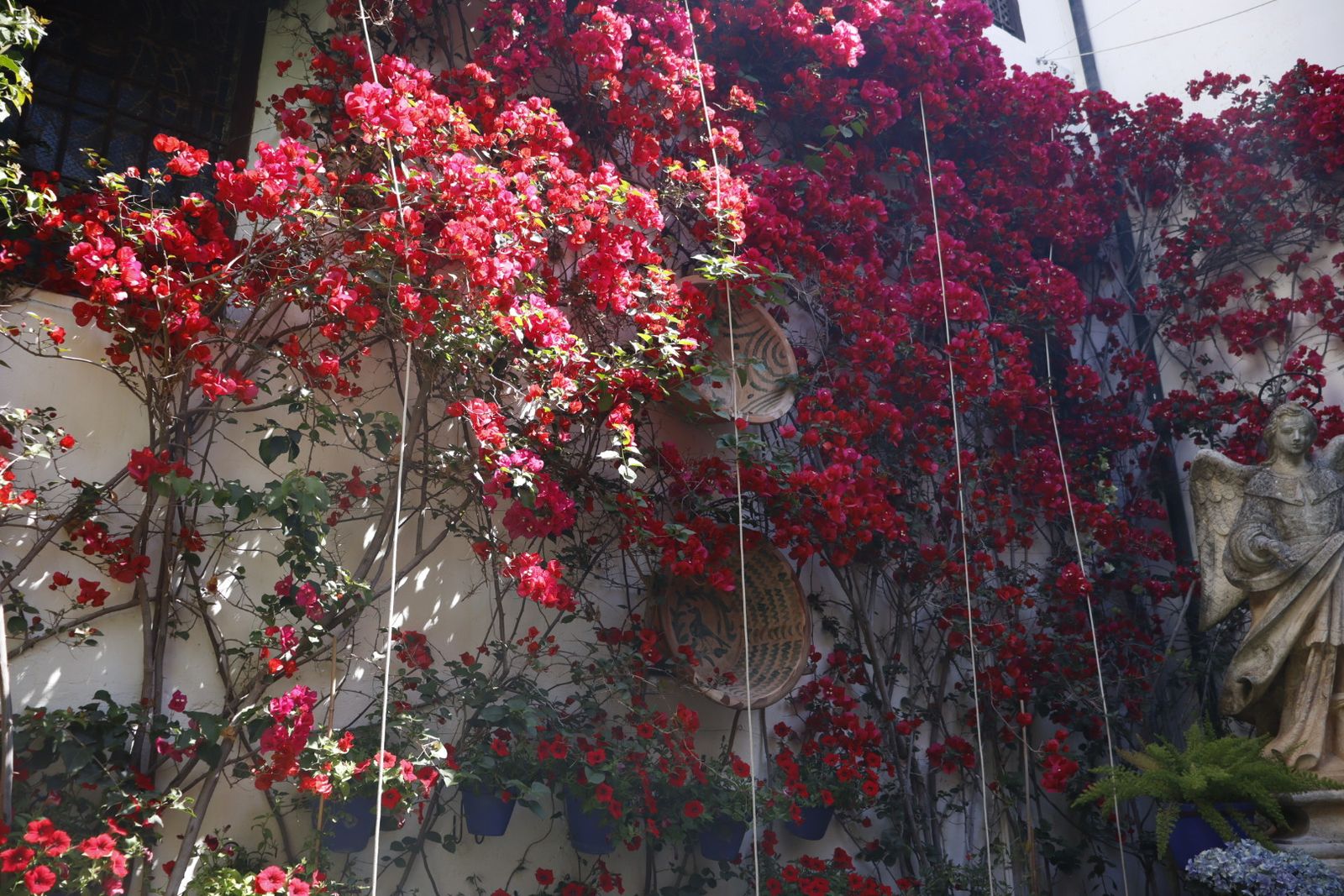 Ruta de los patios de San Lorenzo