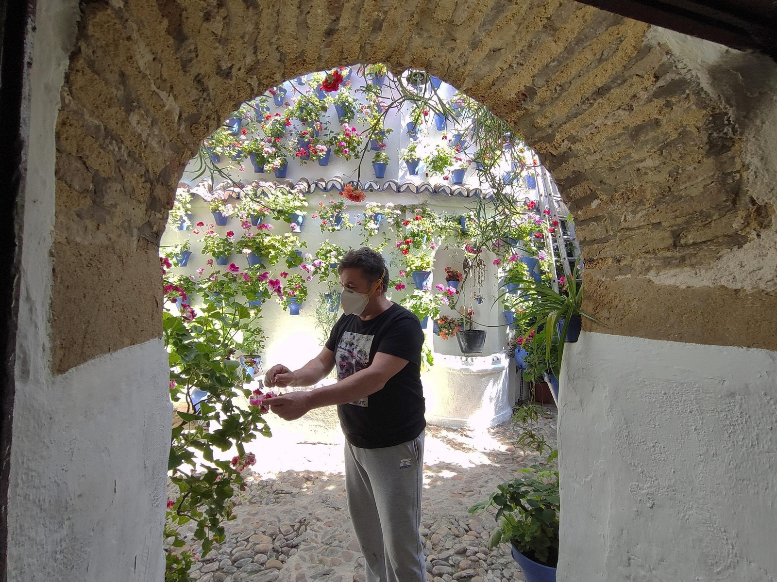 Las fotos de los Patios de Córdoba en tiempos de crisis: Postrera, 28