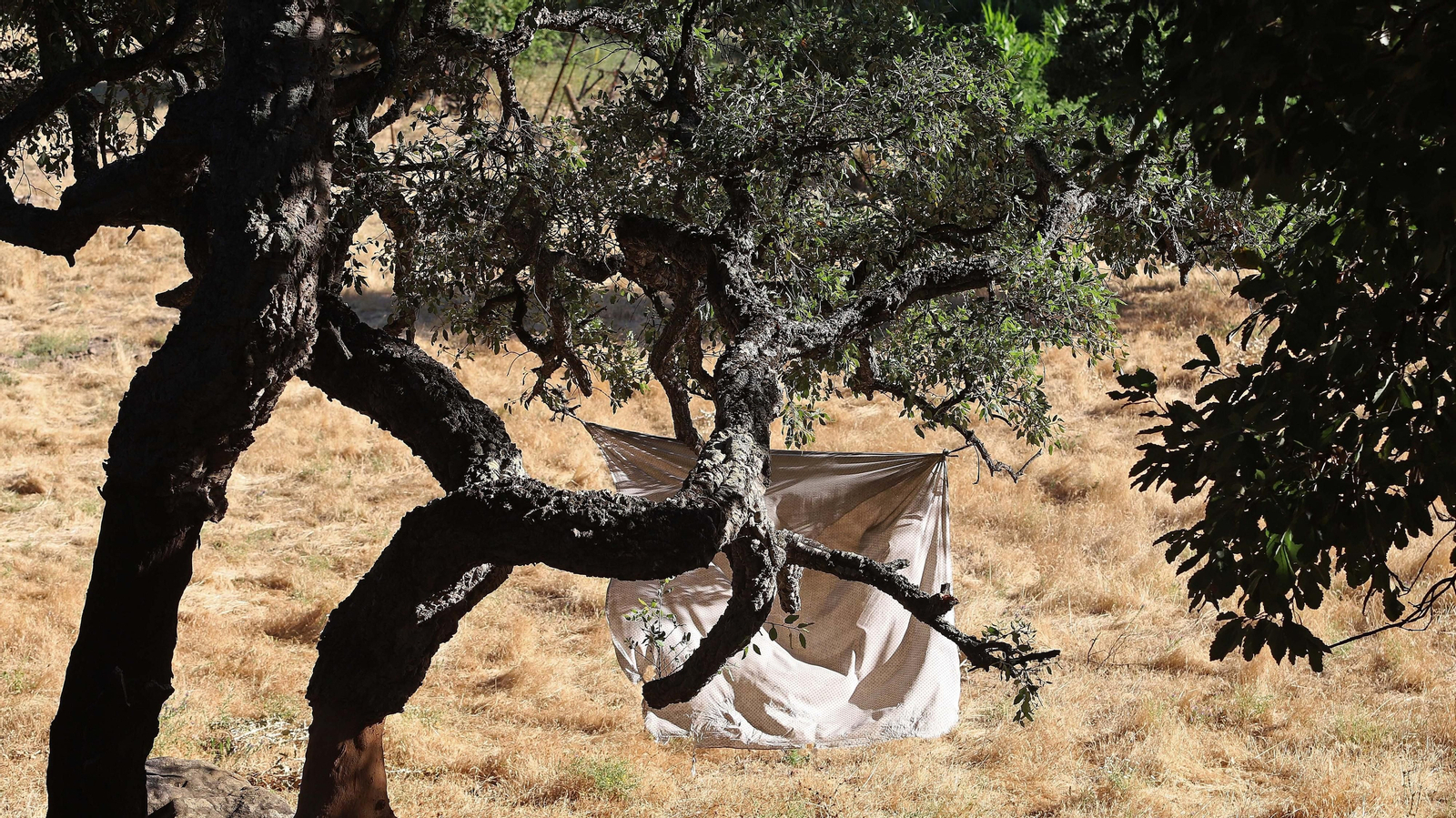 Las mejores fotos del sendero del Río Hozgarganta