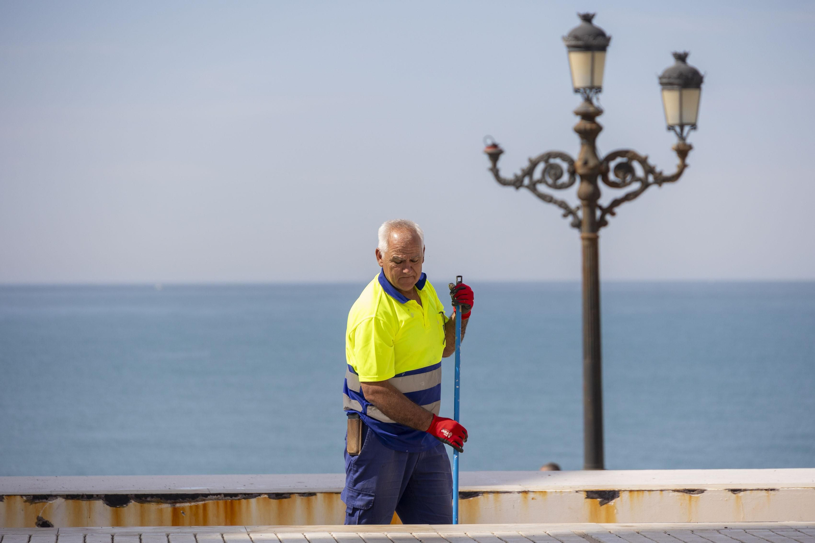 Las imágenes del mal estado de los paseos de Cádiz