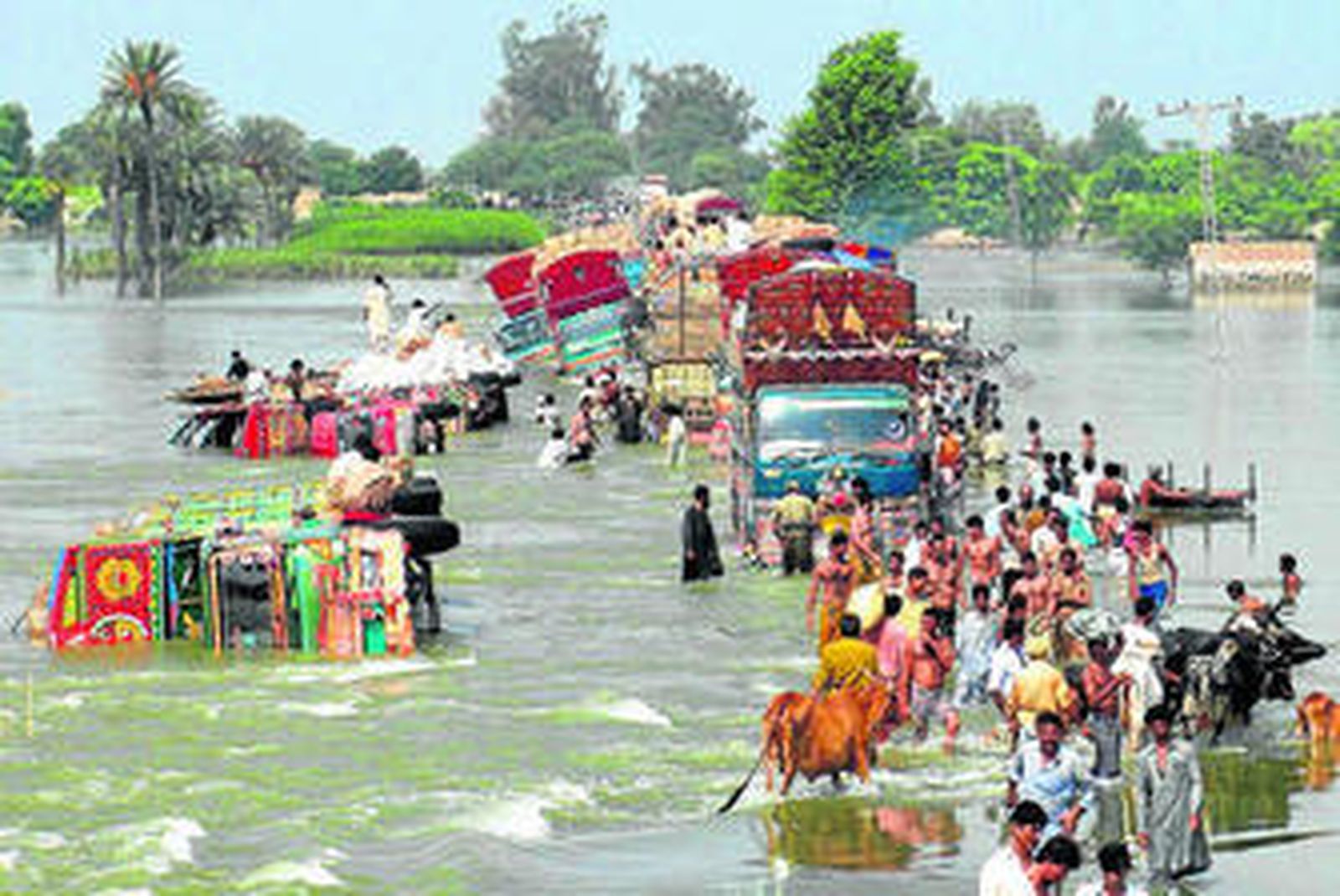 Damnificados por las inundaciones huían ayer de una zona anegada en la provincia paquistaní de Punjab.
