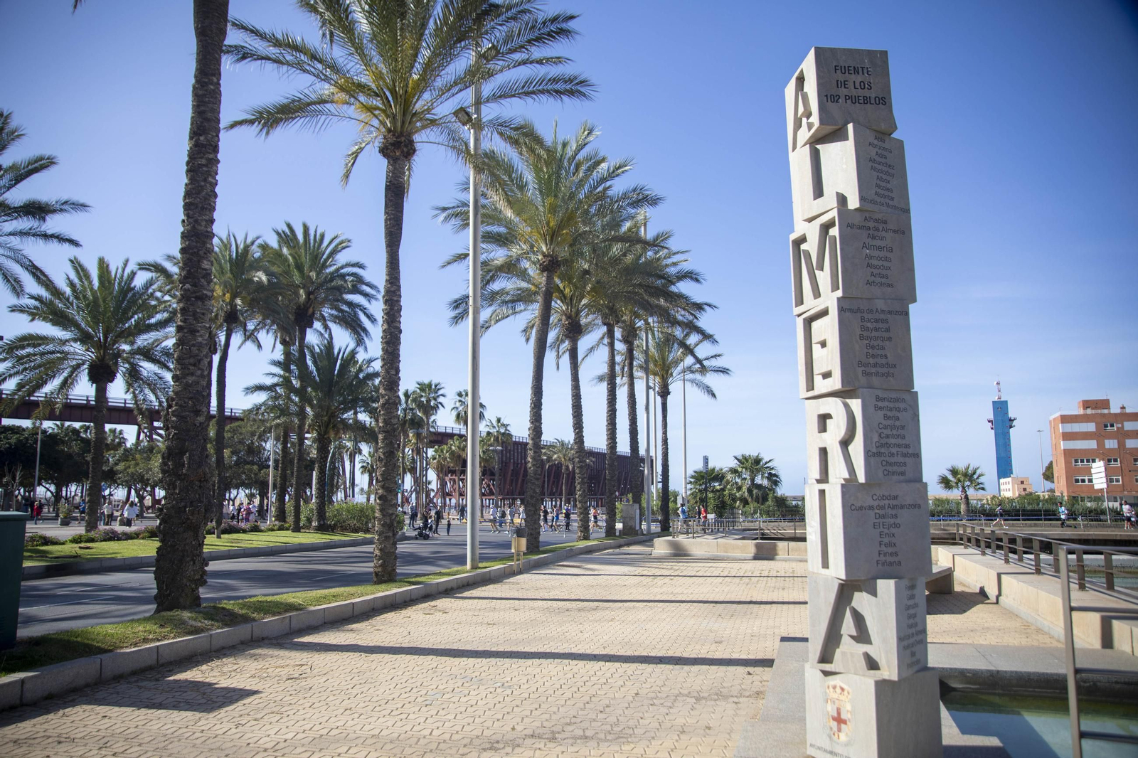 El Medio Maratón de Almería 2025, en imágenes
