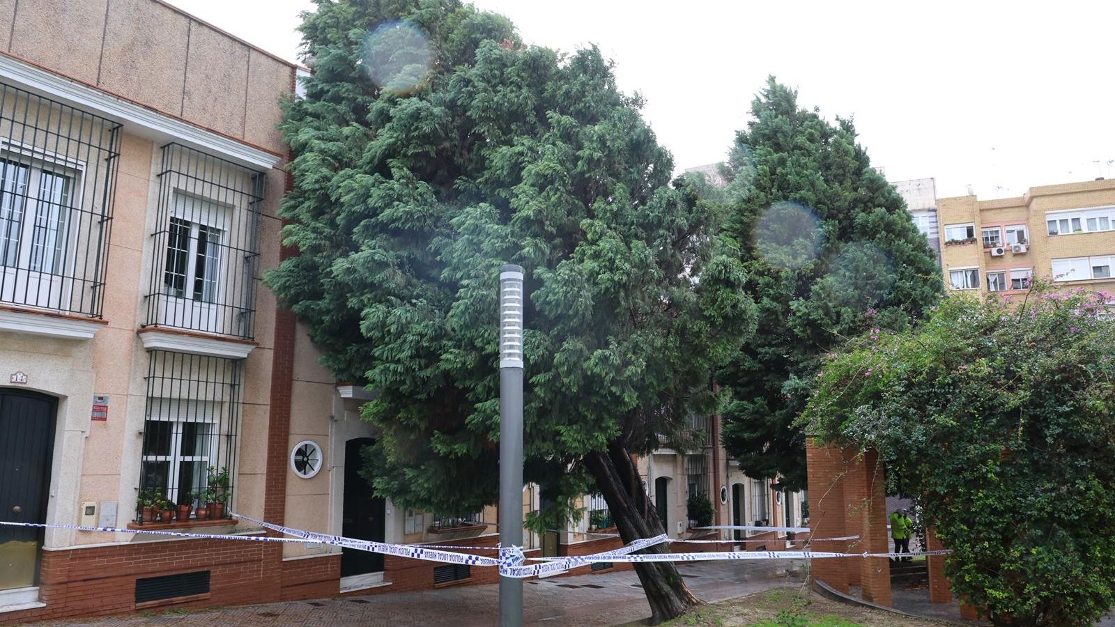 El jardín Anselmo Botello precintado este miércoles.