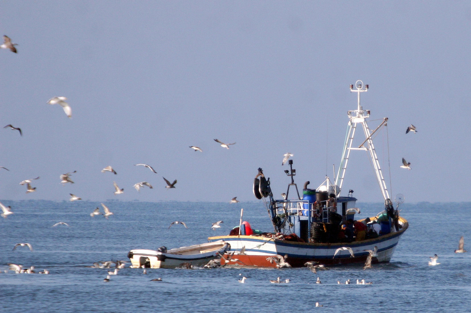 Pequeña embarcación de arrastre.