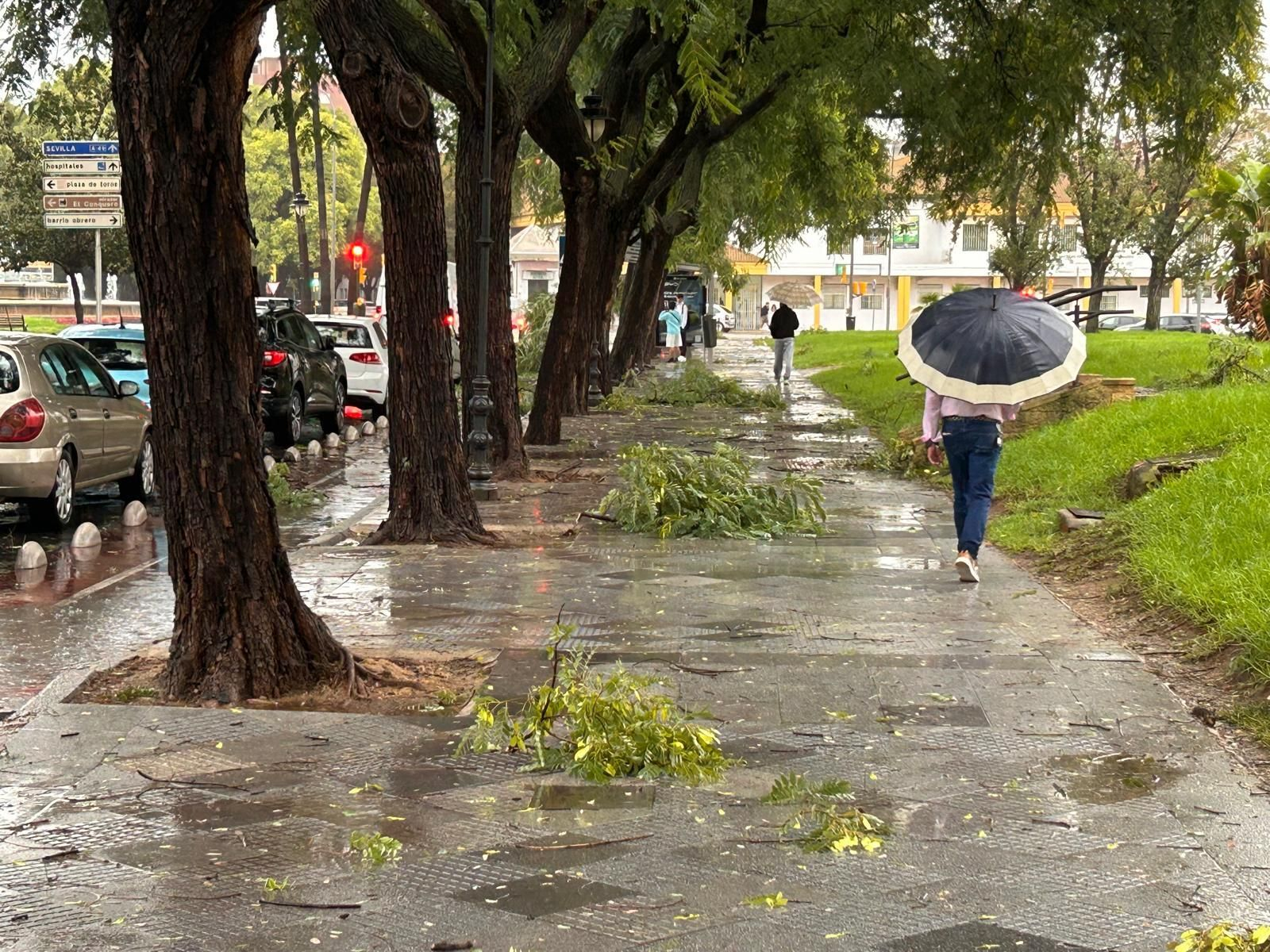Las mejores imágenes del paso del fuerte temporal de lluvias, tormenta y rachas de viento por Huelva capital este miércoles